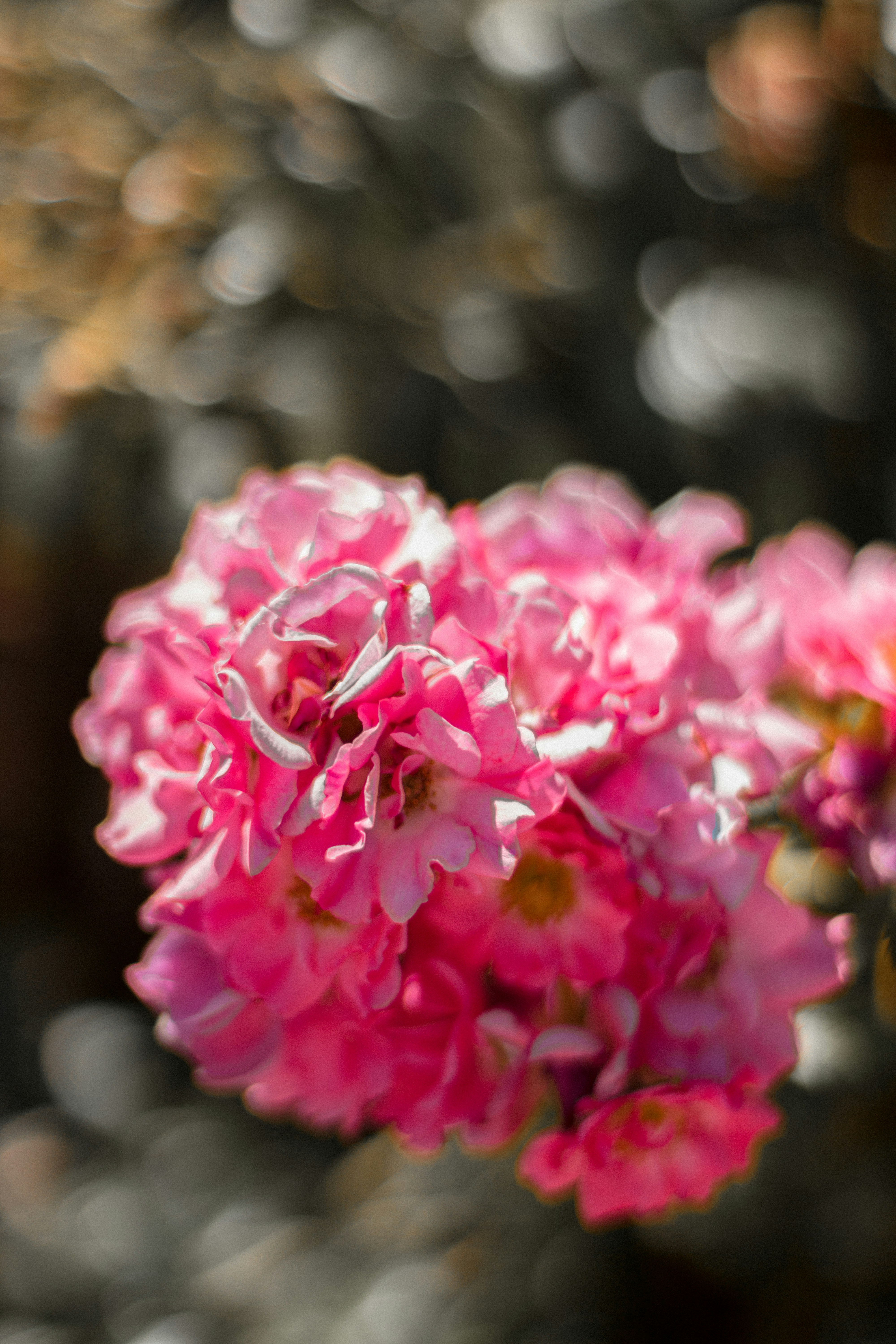 Photo by valentinlacoste