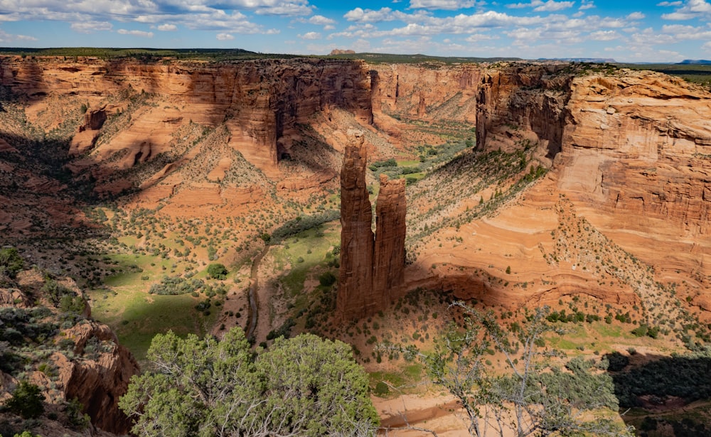 un cañón con algunos árboles con el Monumento Nacional Canyon de Chelly al fondo