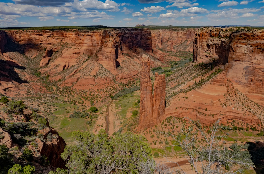 a canyon with trees and rocks with Canyon de Chelly National Monument in the background