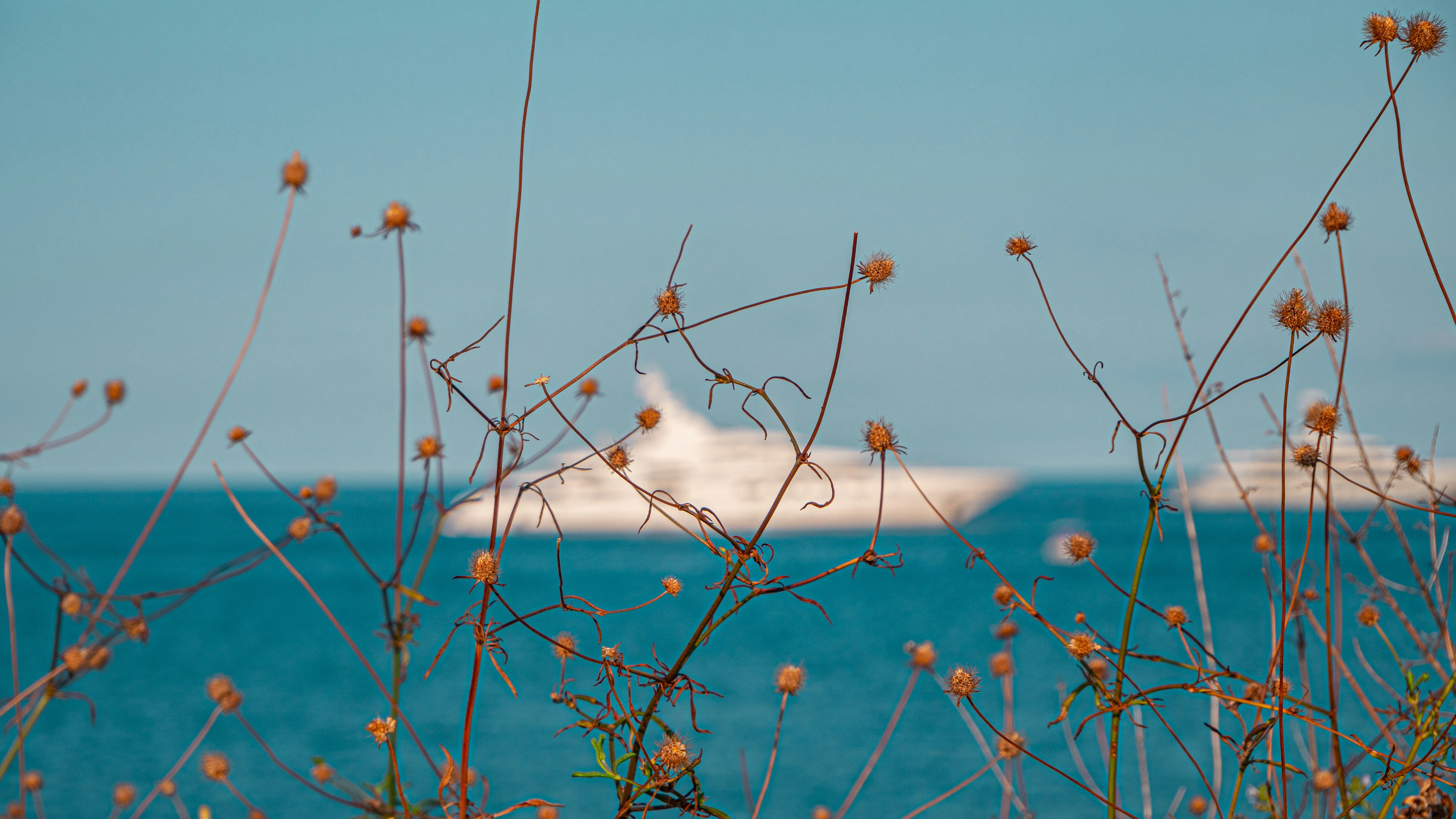 Antibes travel photo