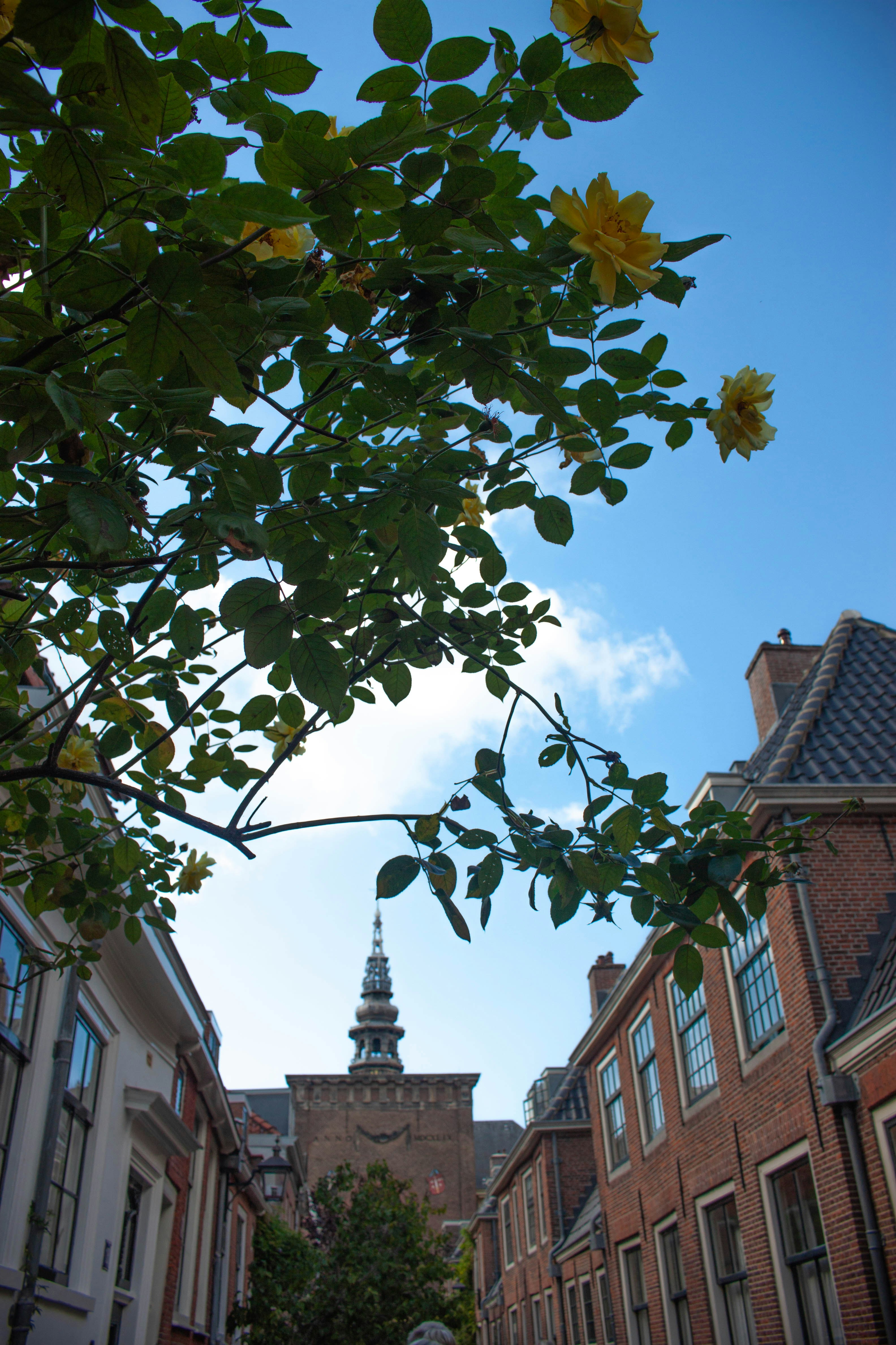 Photo by kamillaisalieva