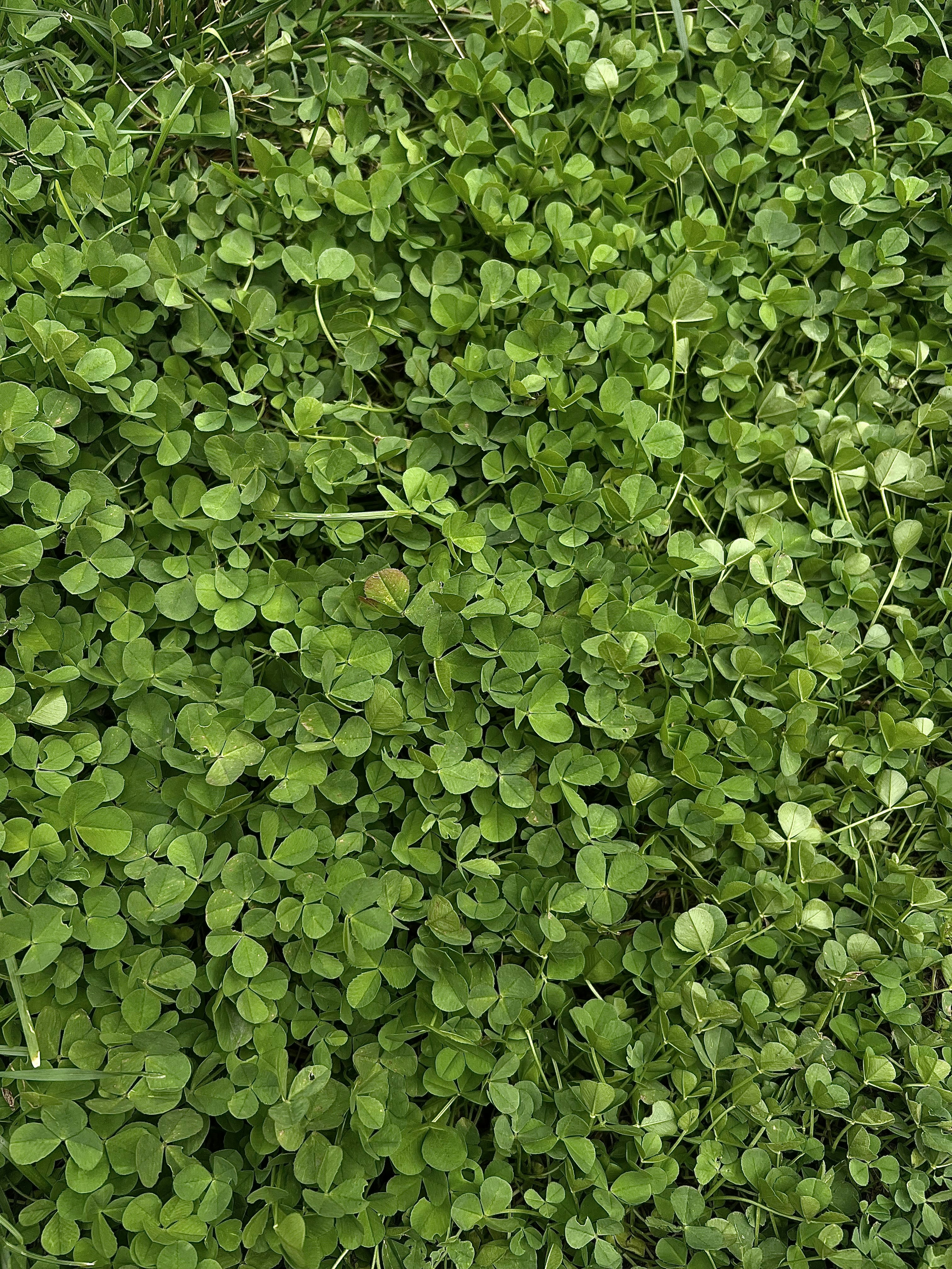 Photo by rufinaselina