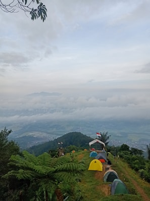 A panoramic view of multiple military tents set up in a lush Scandinavian forest.