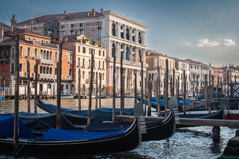 boats in the water