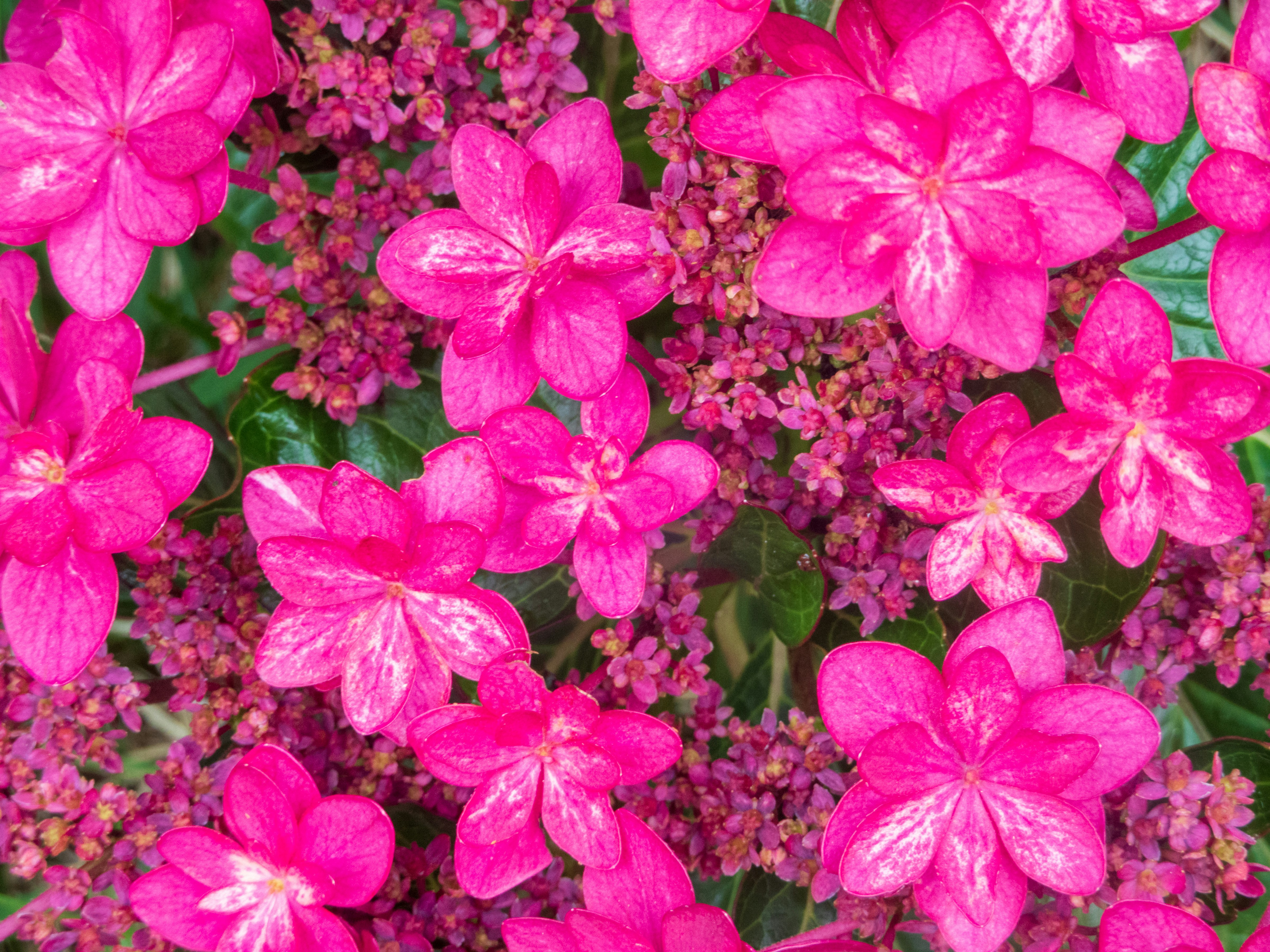 Photo by heppoko_yama