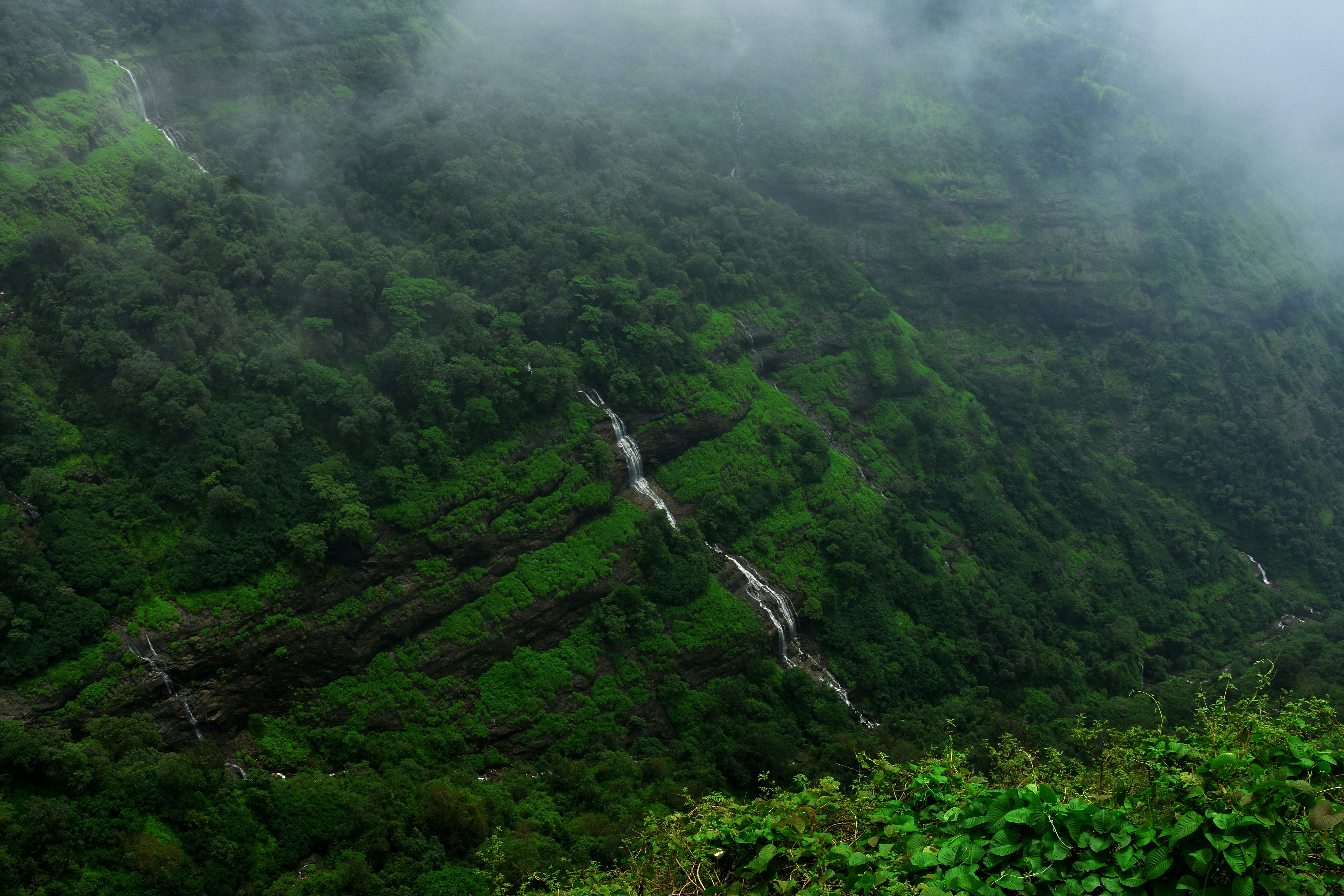 Image credit: Jordan Fernandes via unsplash
Image of hill station Matheran 