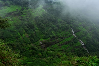 a waterfall in a forest