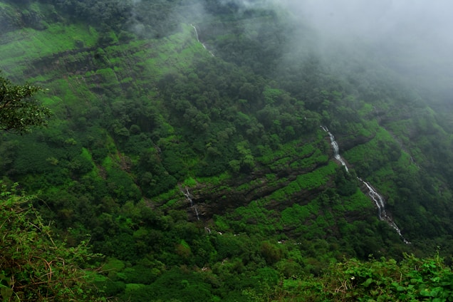 a waterfall in a forest