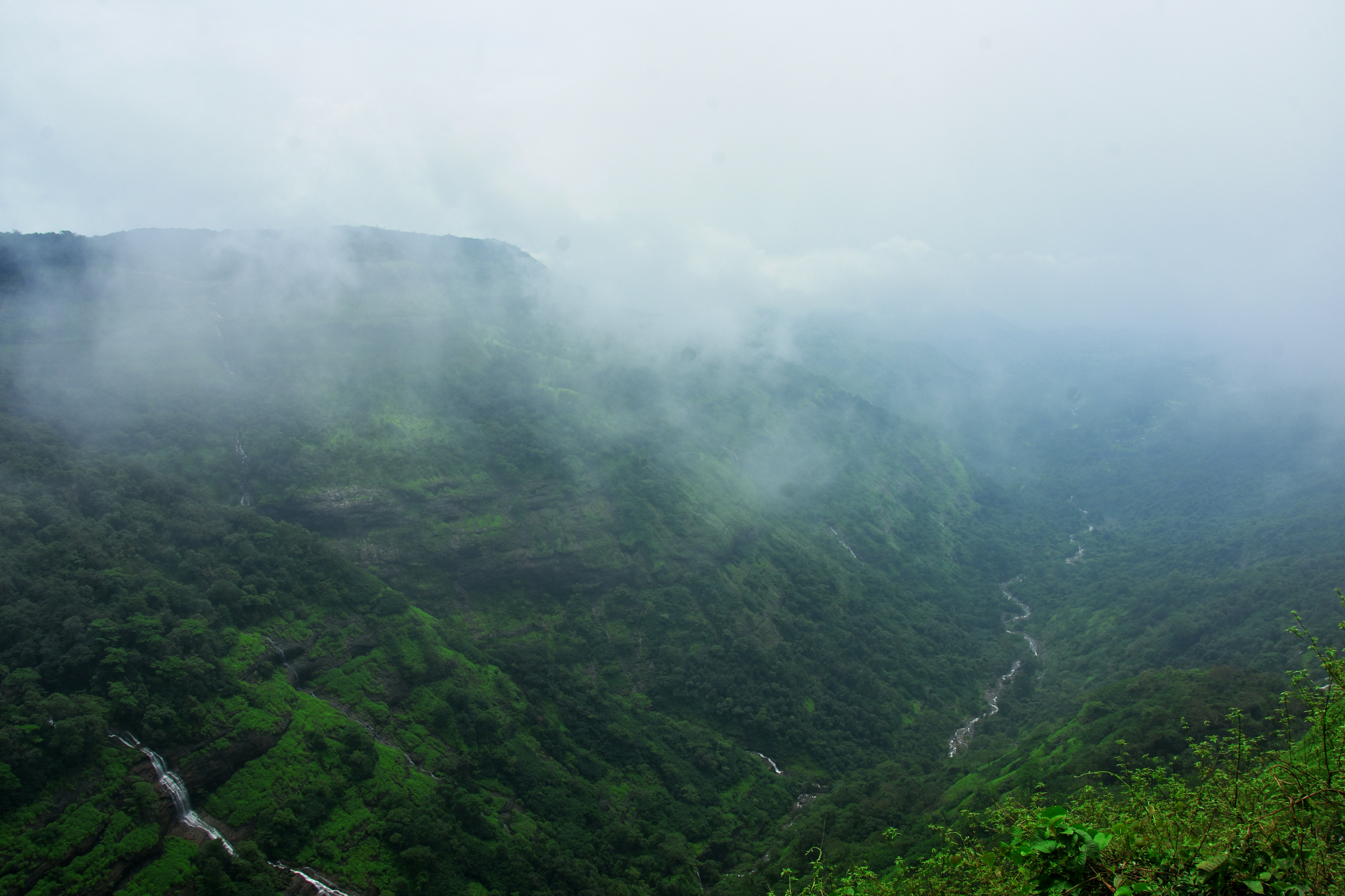 Photo by jordanfer98