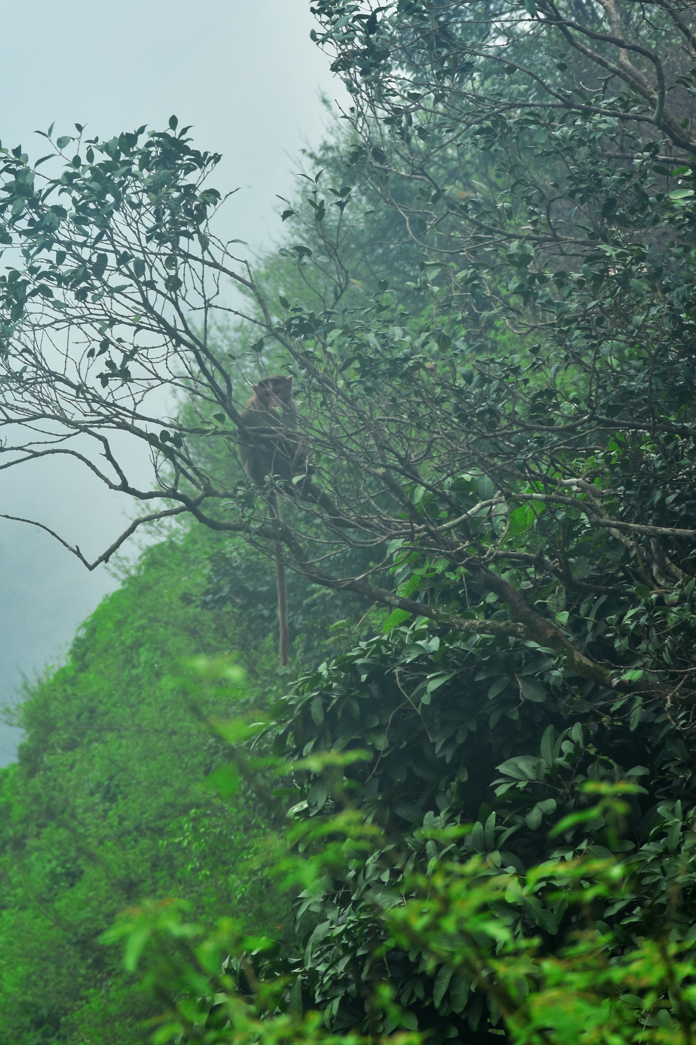 Photo by jordanfer98