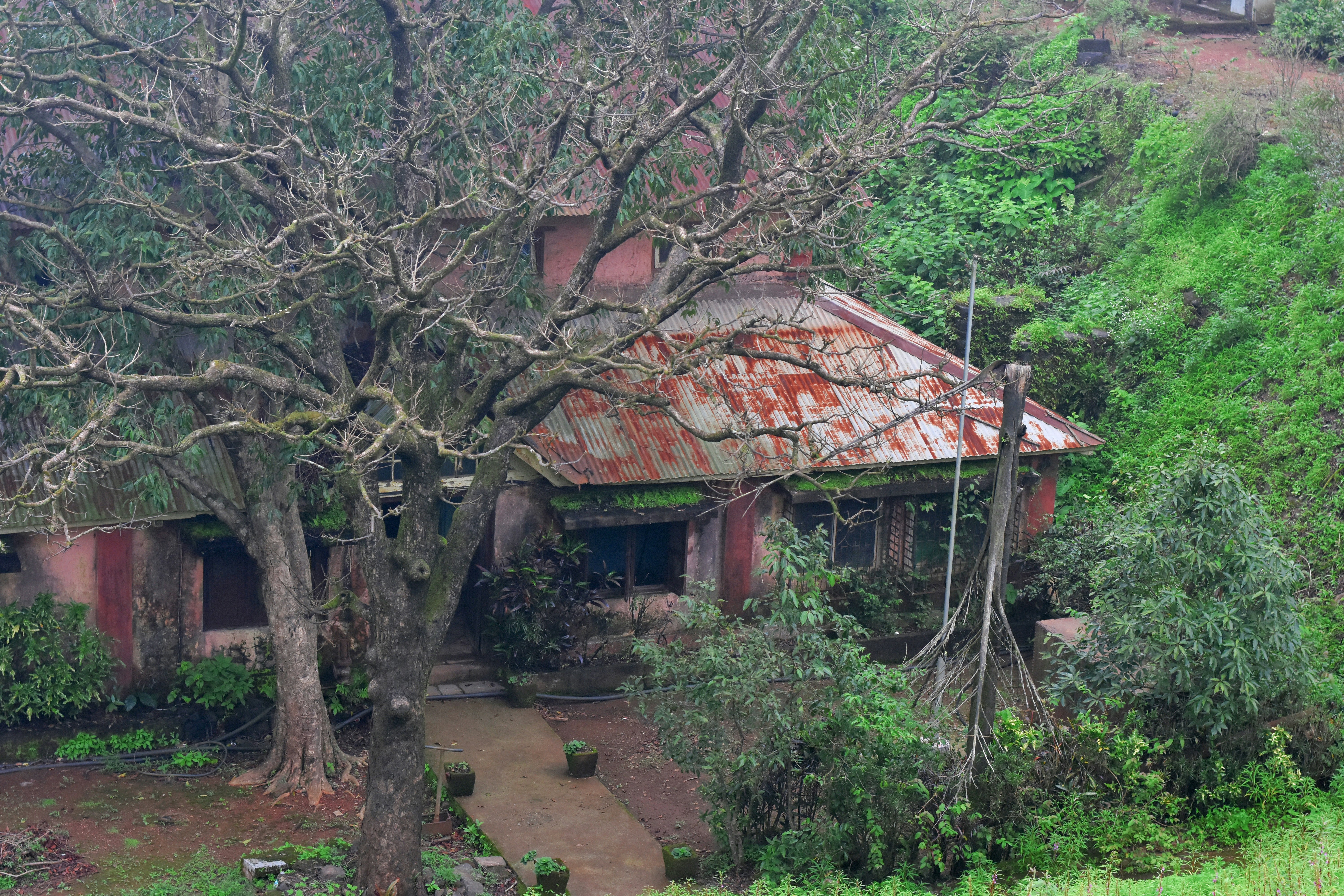 a house with trees around it