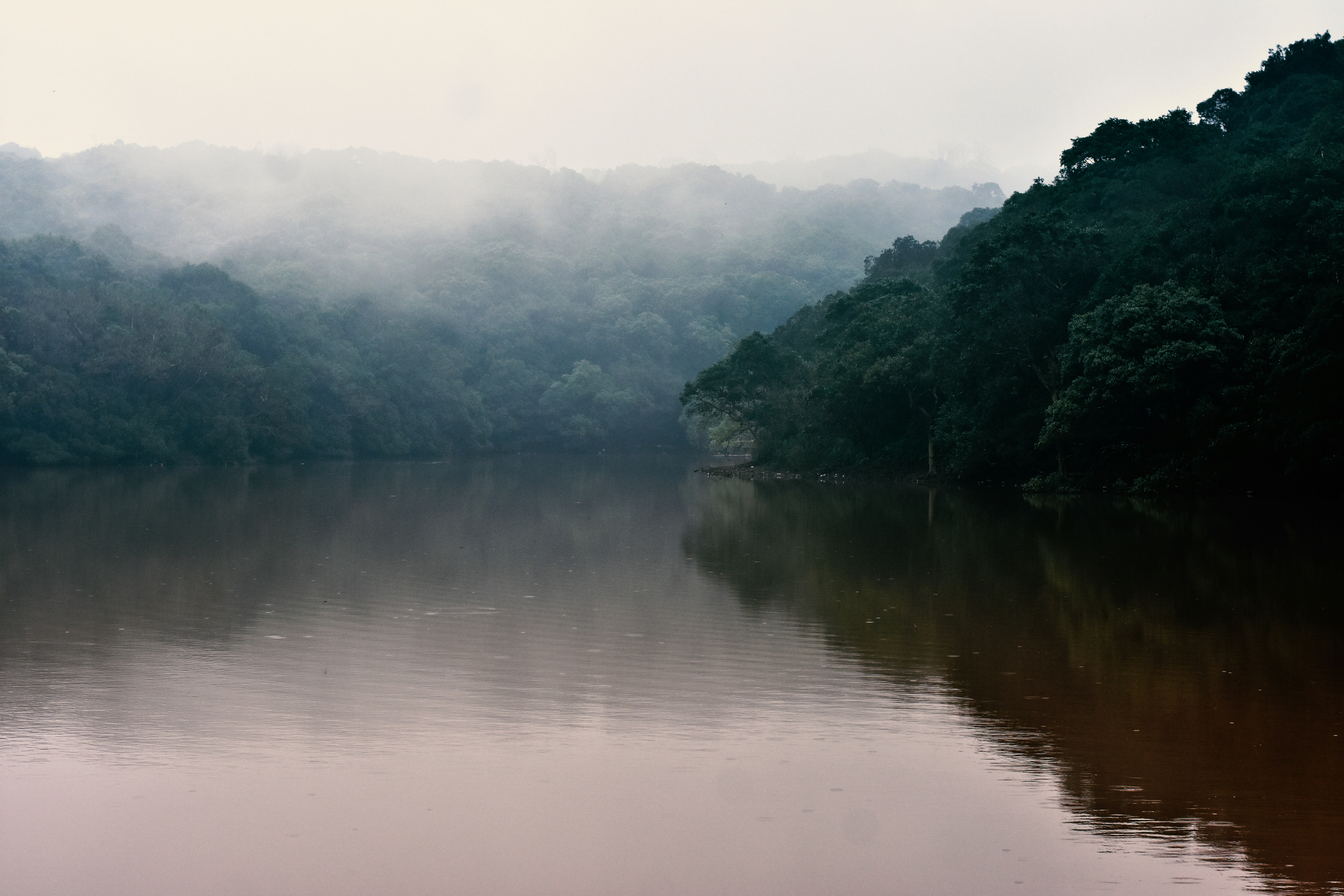 Photo by jordanfer98