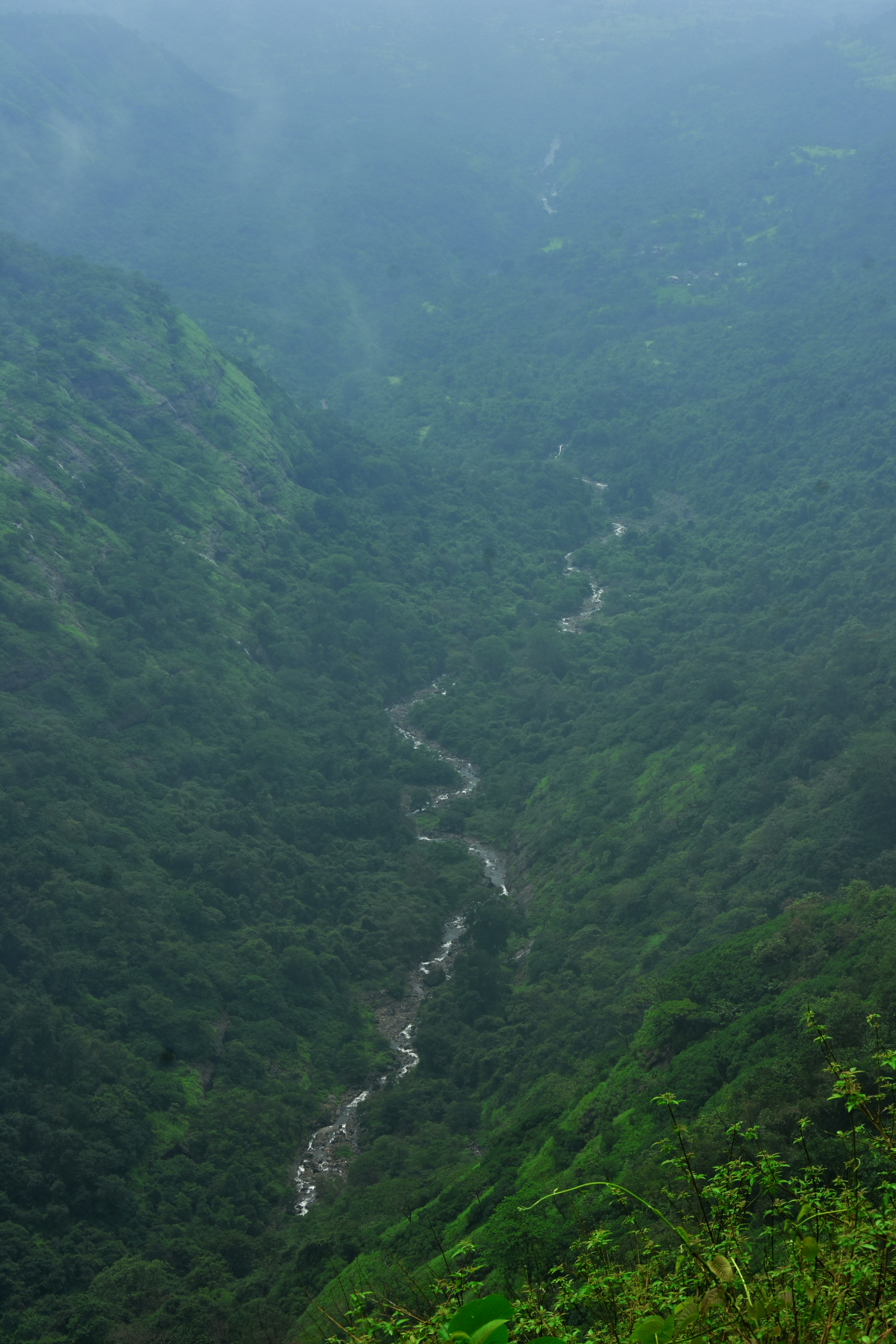 Photo by jordanfer98