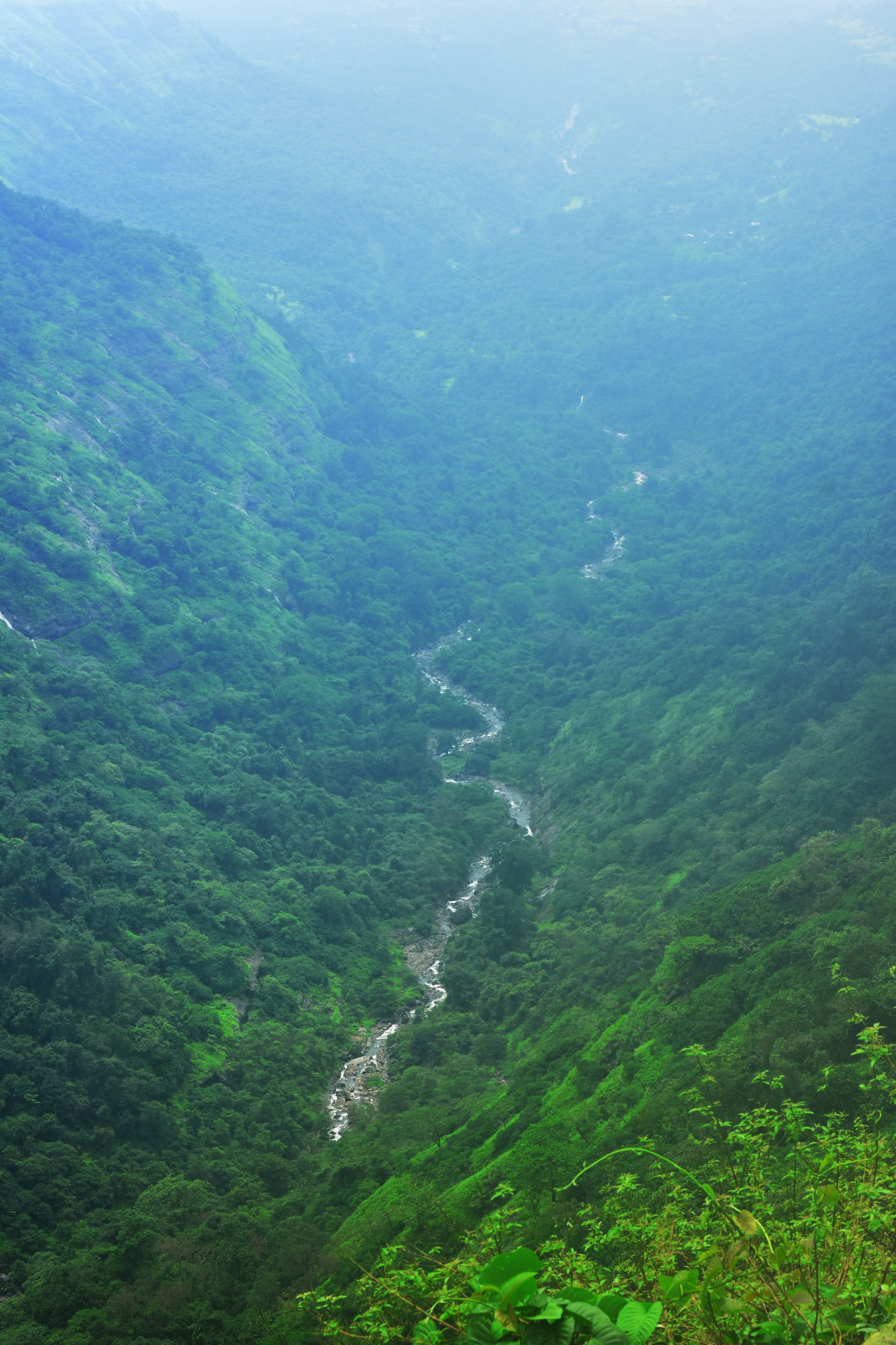 Photo by jordanfer98