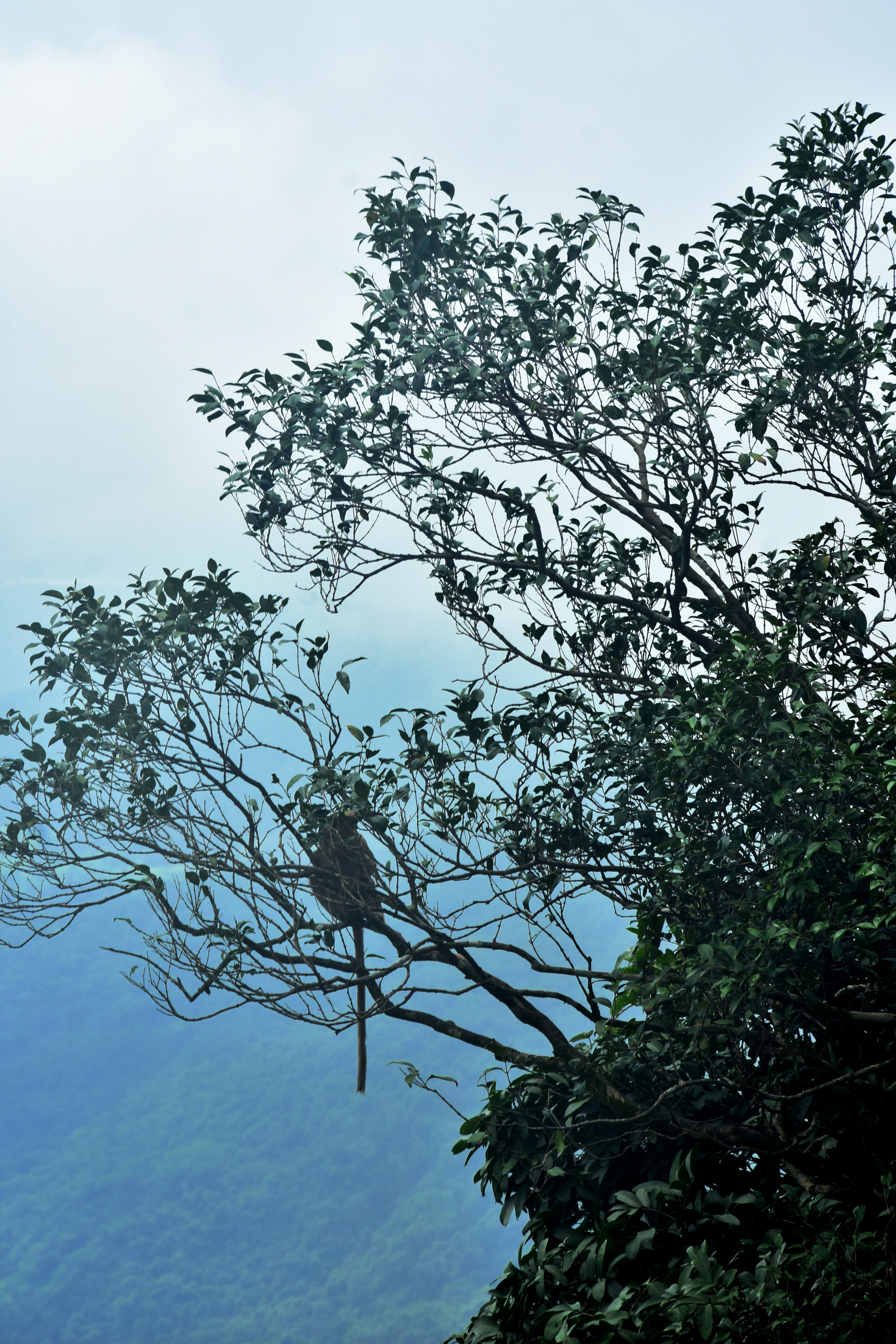 Photo by jordanfer98