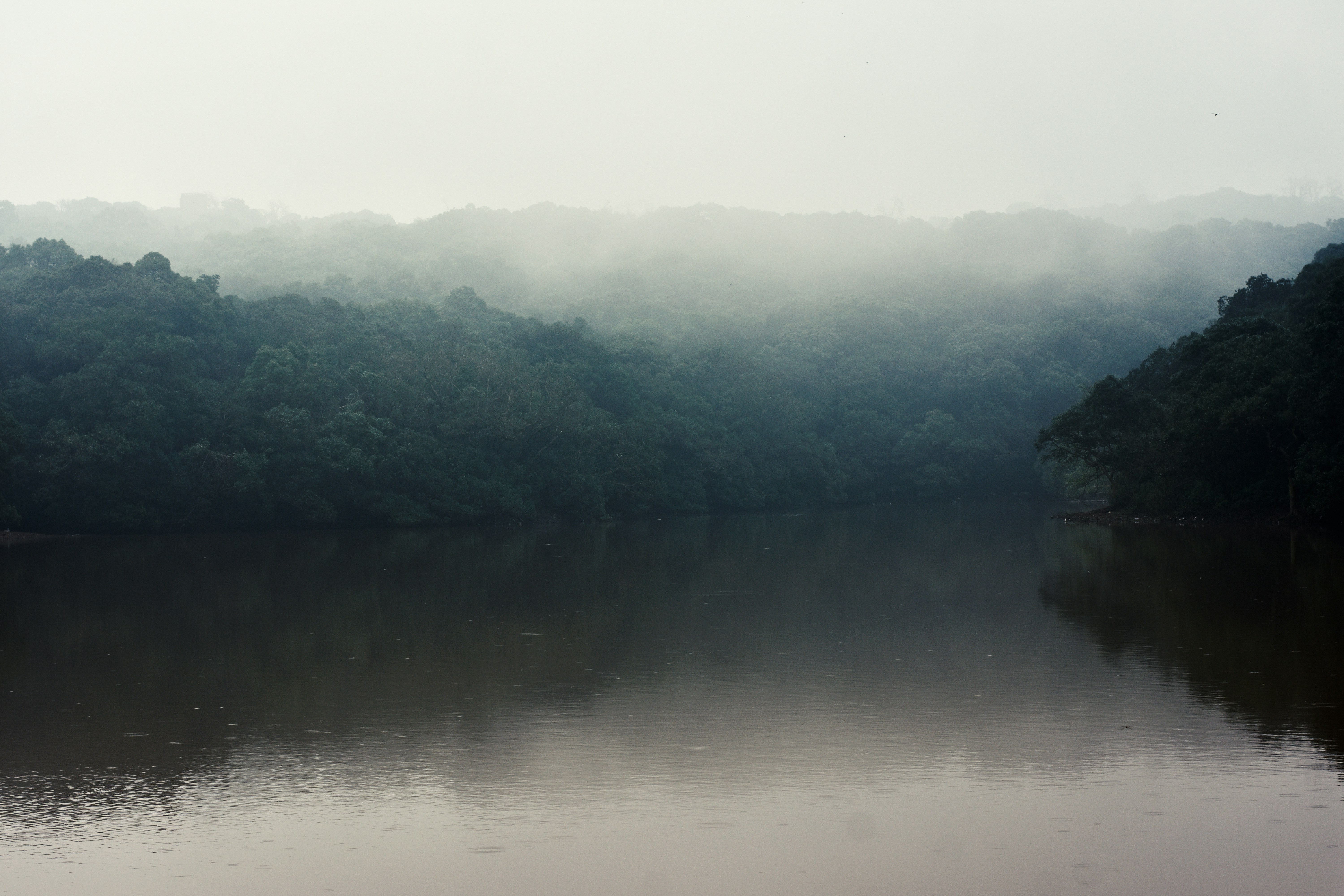 Photo by jordanfer98