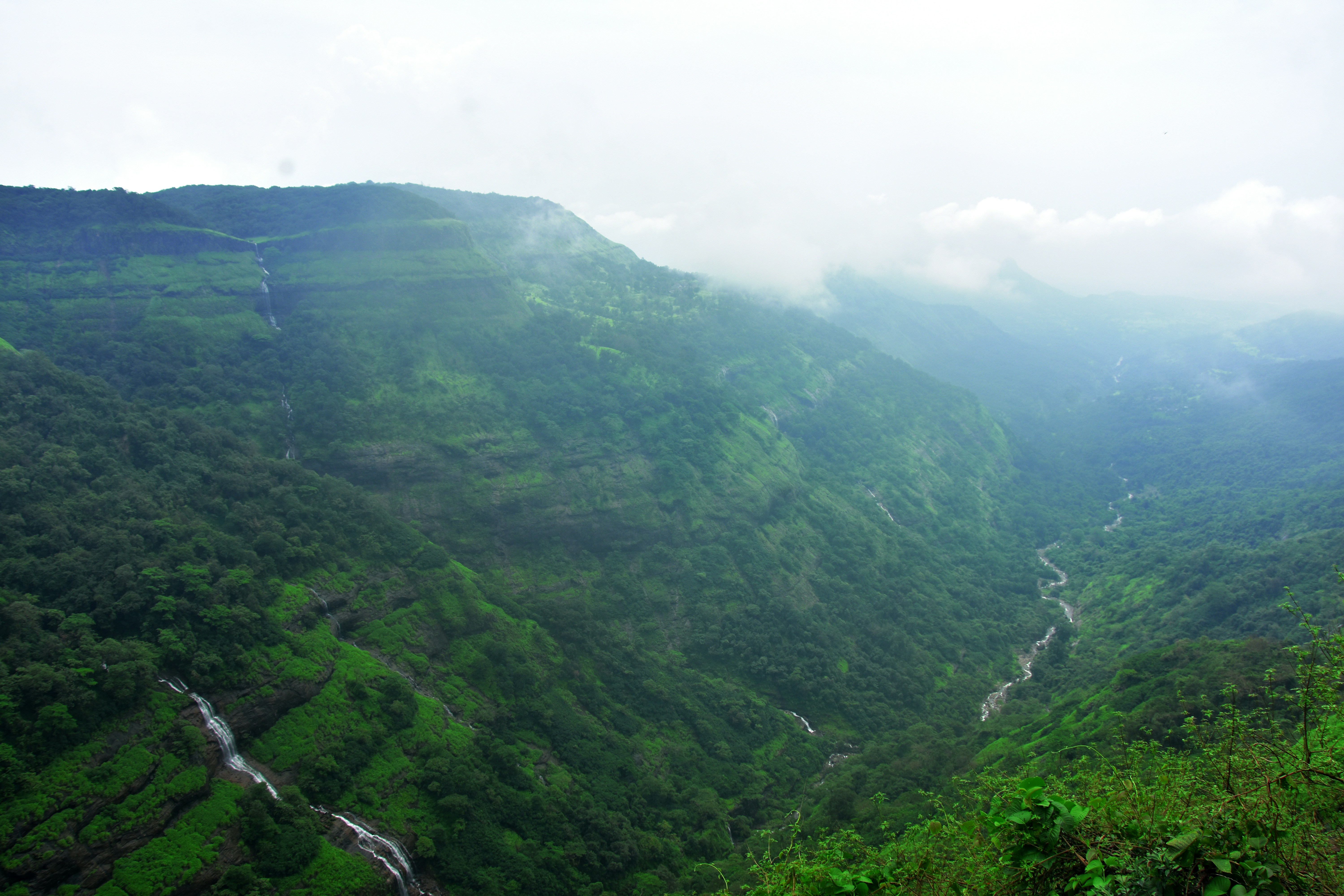 Photo by jordanfer98