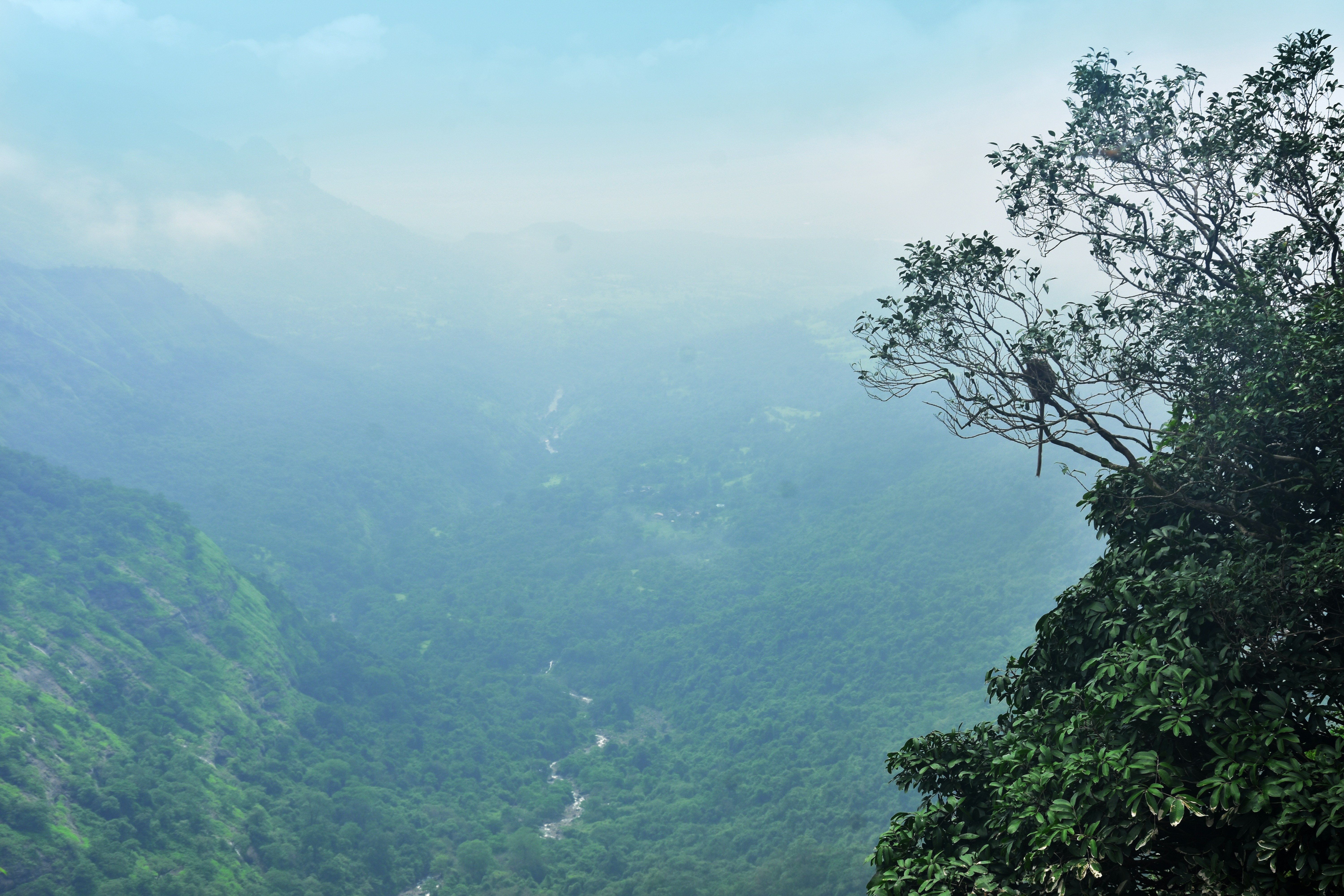 Photo by jordanfer98