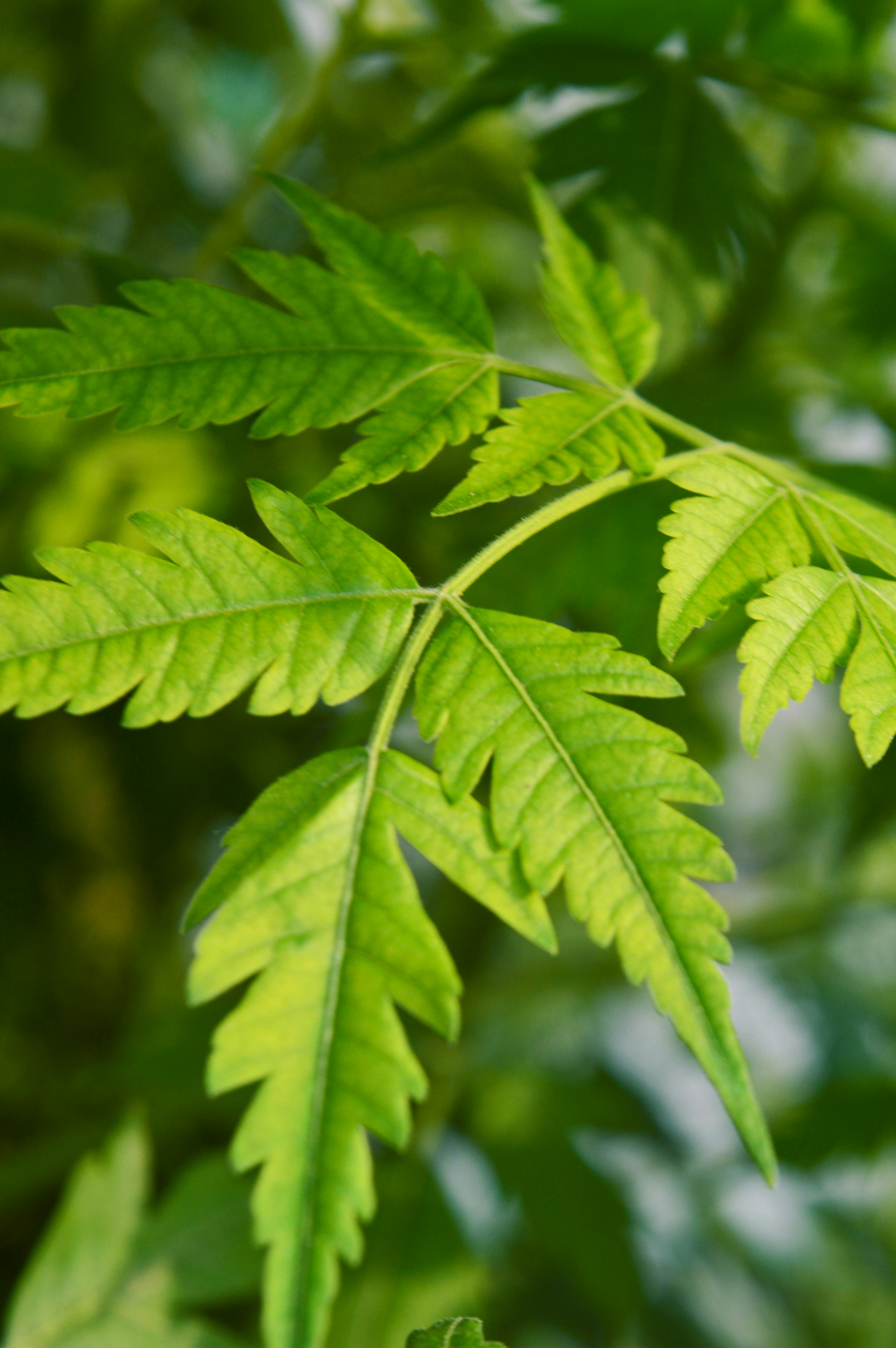 Photo by zeepresents