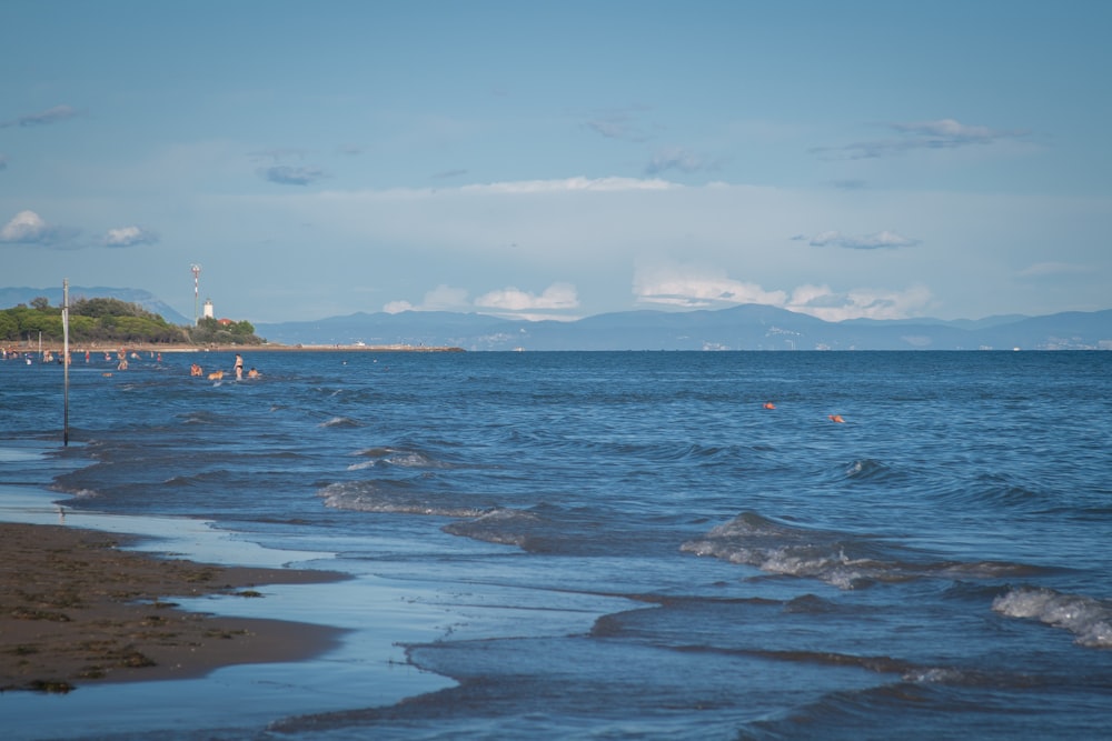 a beach with a body of water