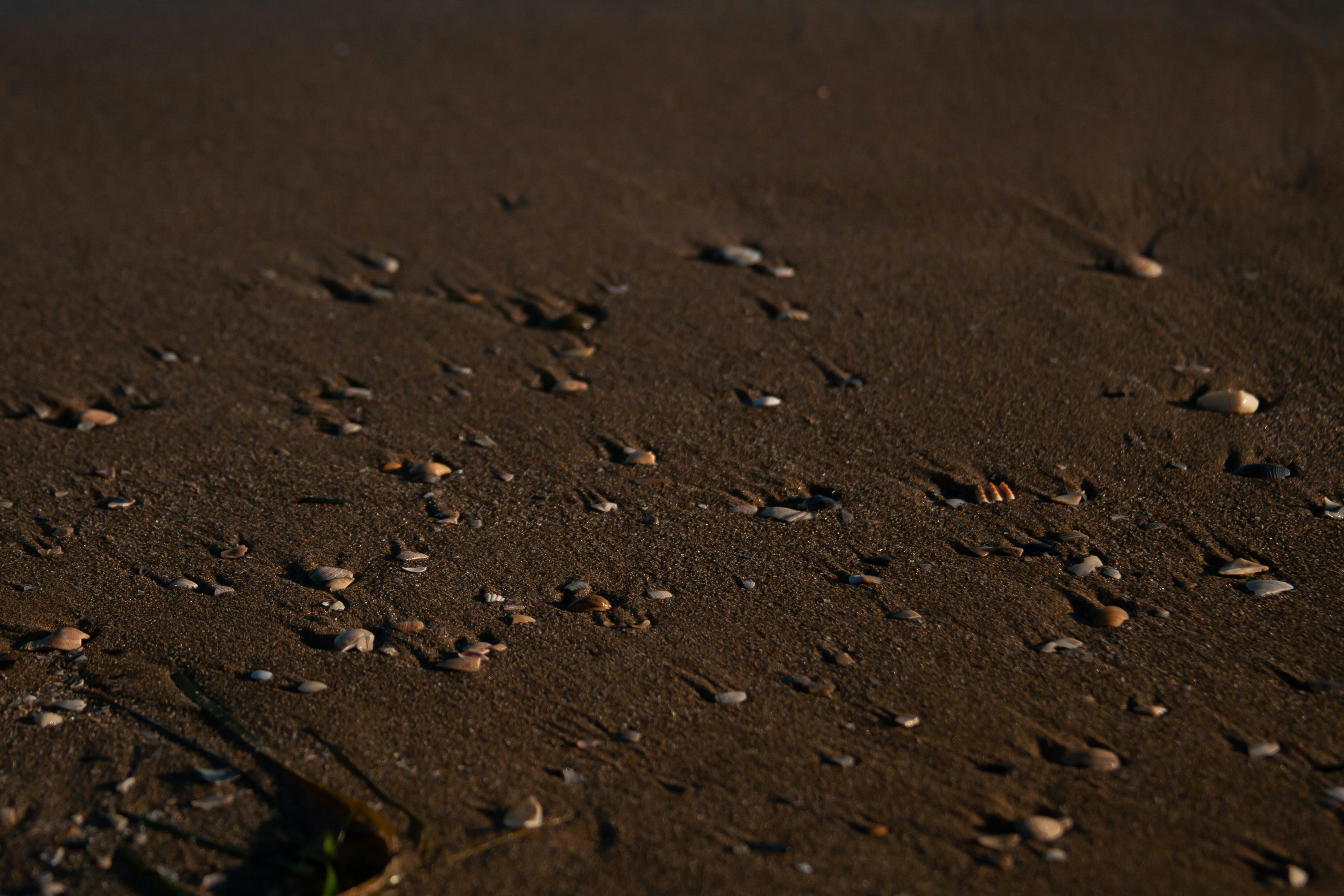 a close-up of a dirt road
