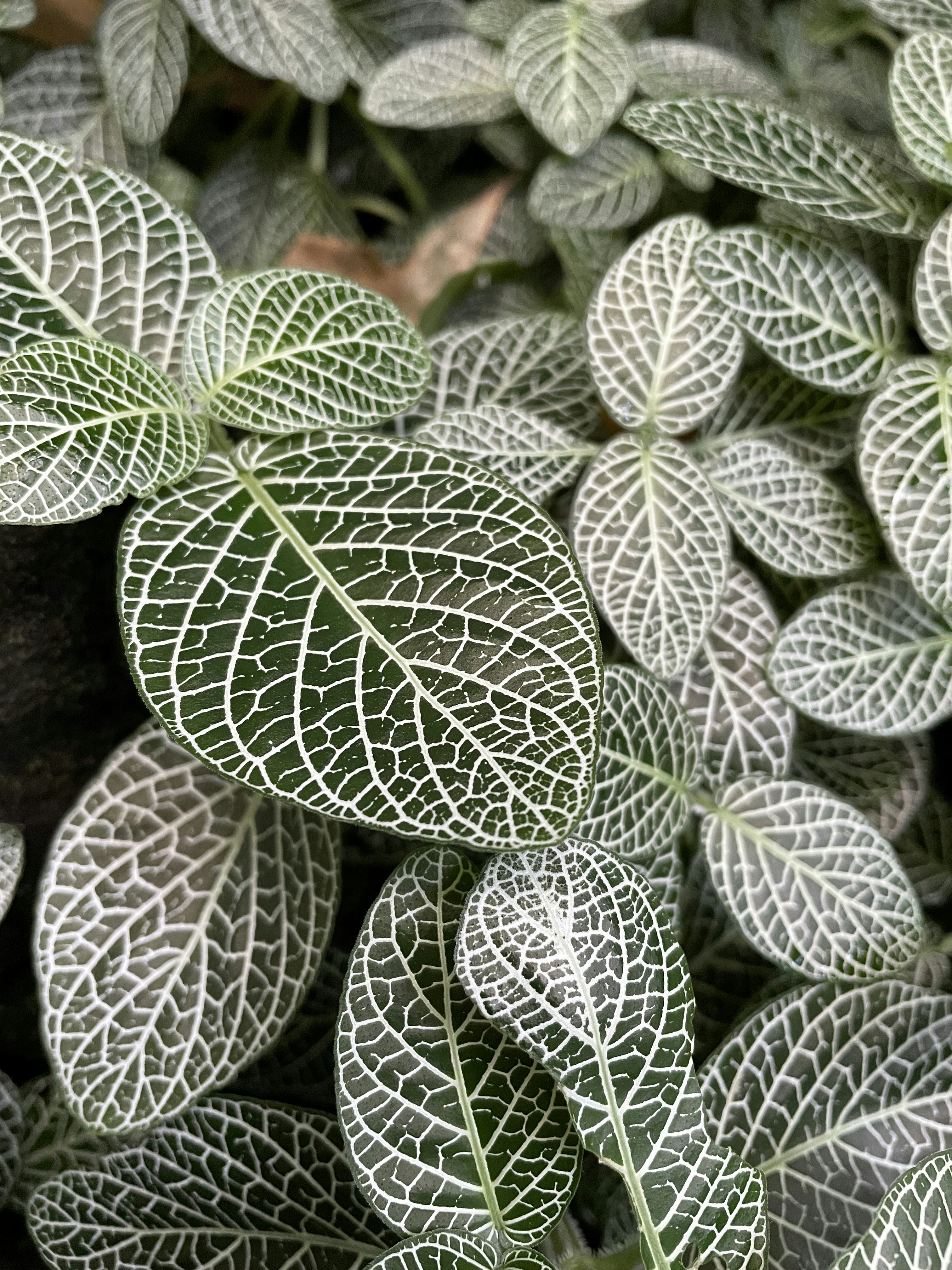 Photo by kelseywood94