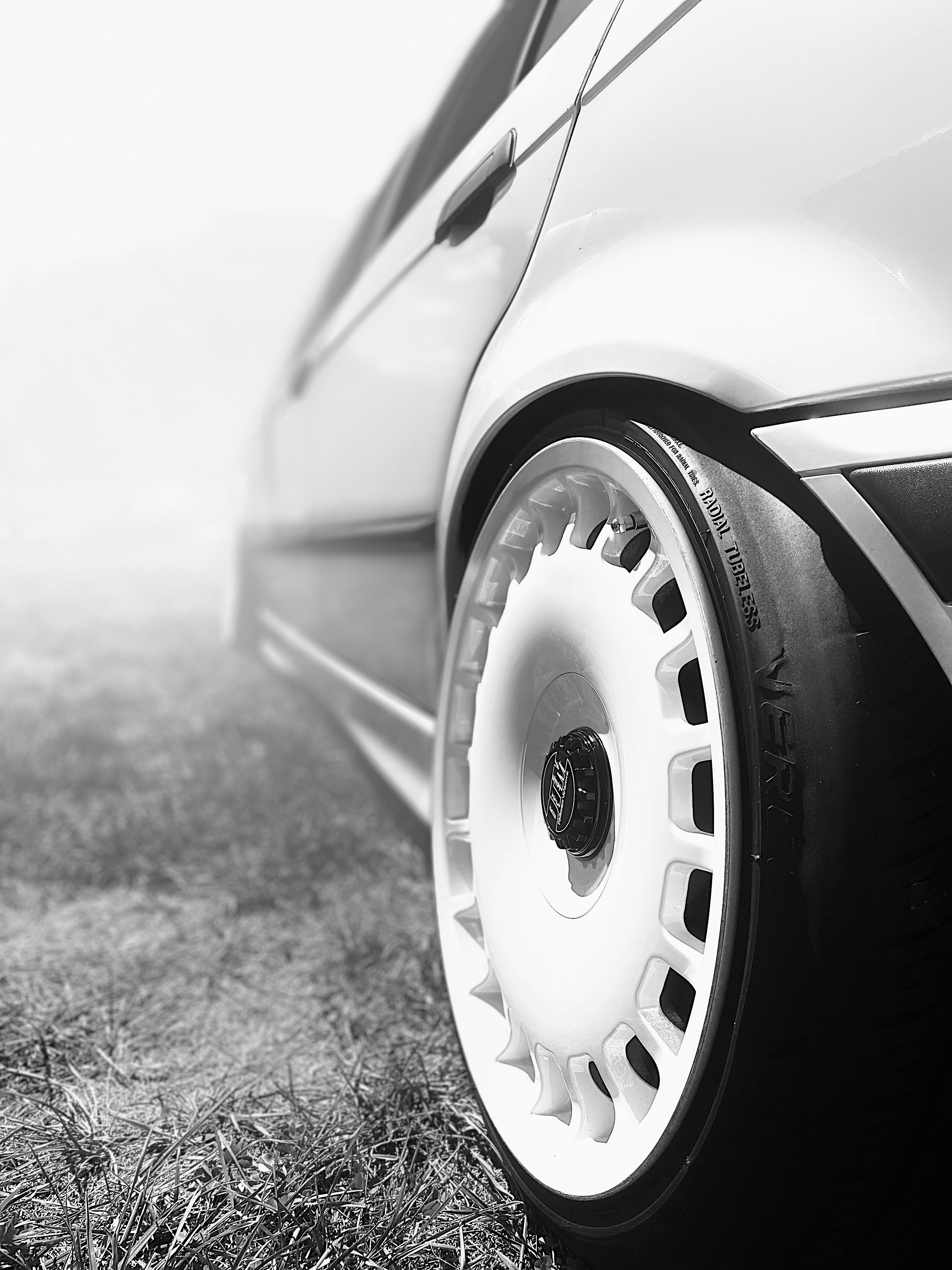 Photo by papspchicken3_