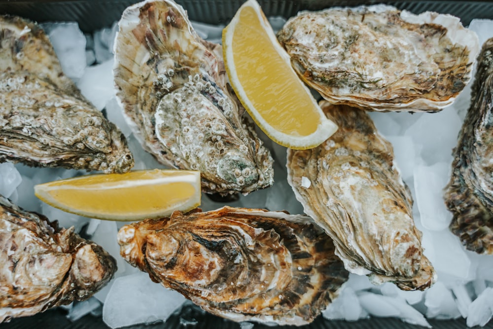 a plate of oysters and lemons