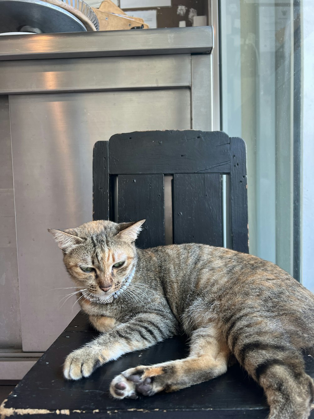 a cat lying on a chair