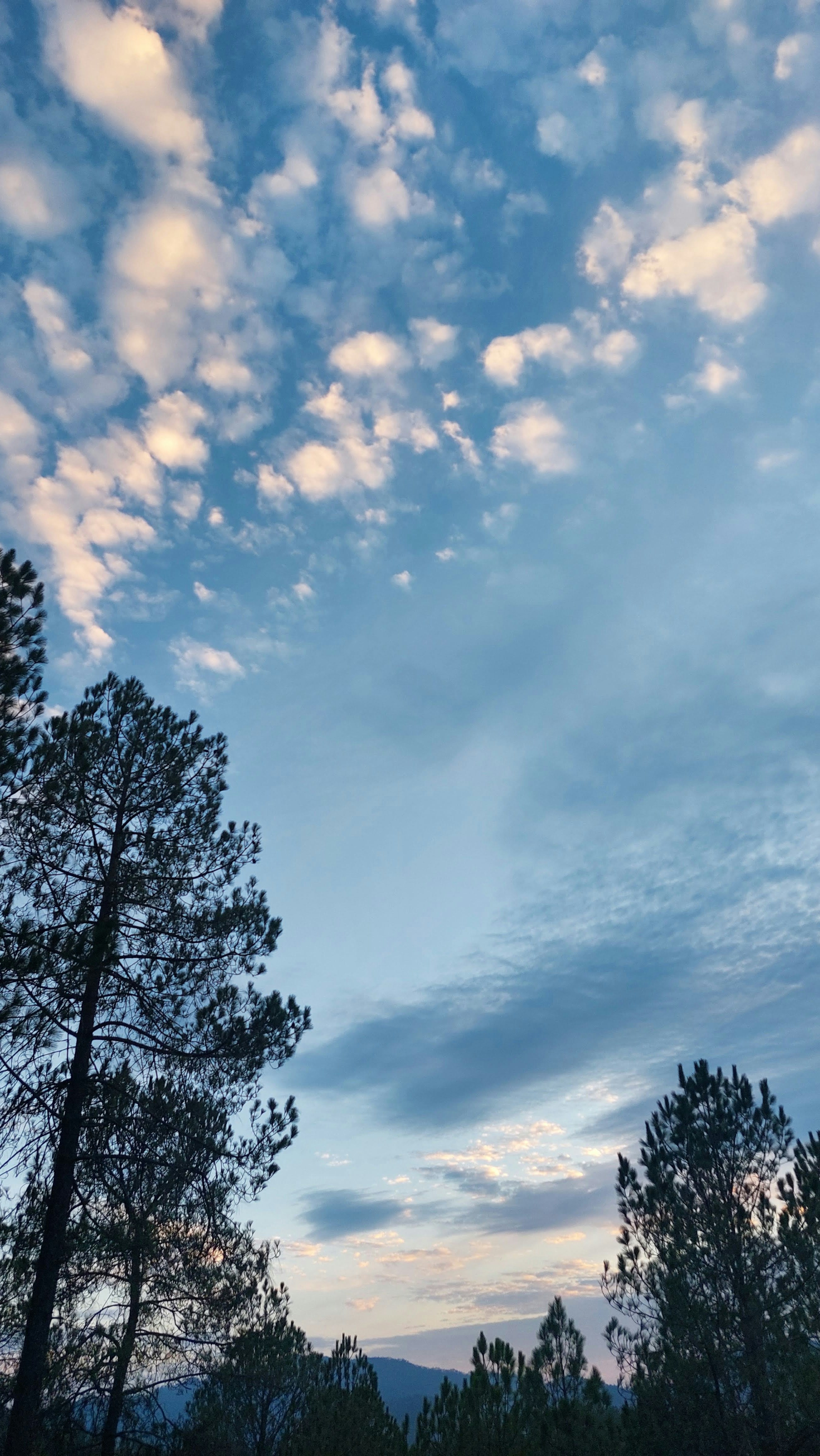 Photo by abdullahvqr