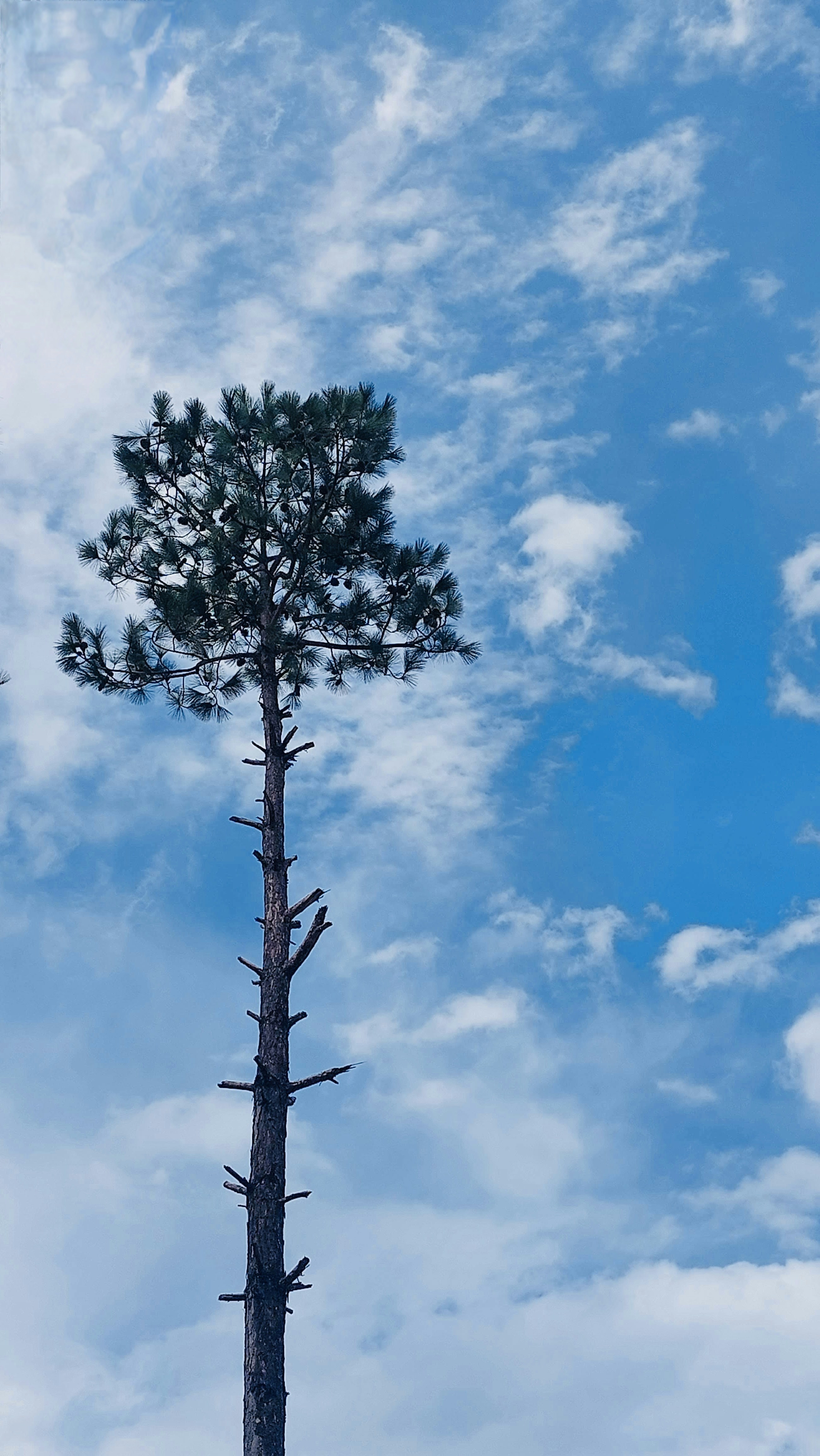 Photo by abdullahvqr