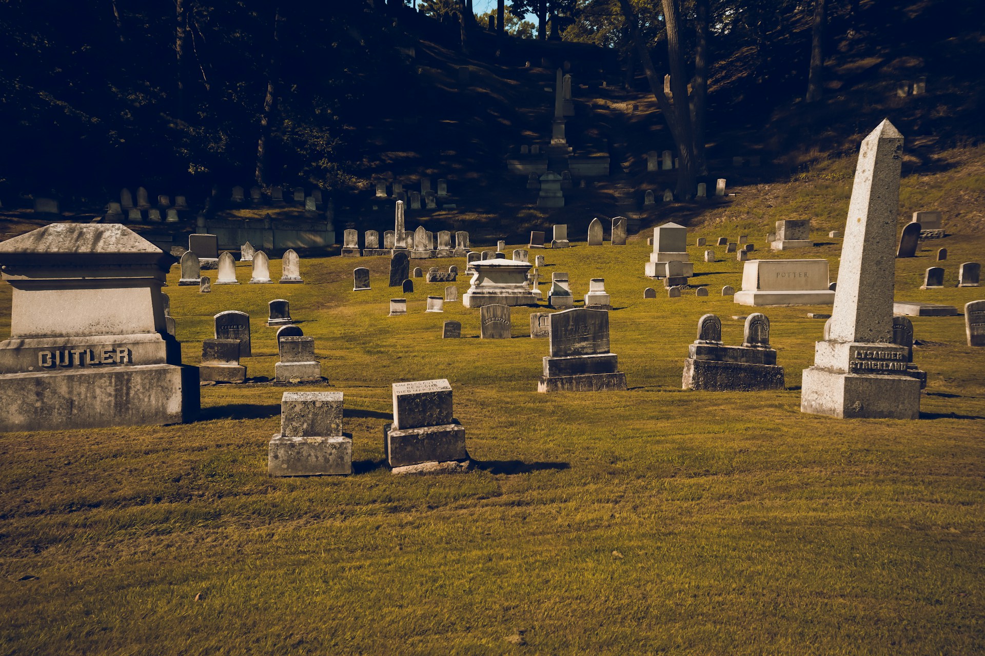 A cemetery with various gravestones and tombstones positioned on a grassy field. Different shapes and sizes of headstones, including an obelisk and traditional headstones, are scattered across the area. The background has a wooded area with the shadow of trees falling over some of the headstones.