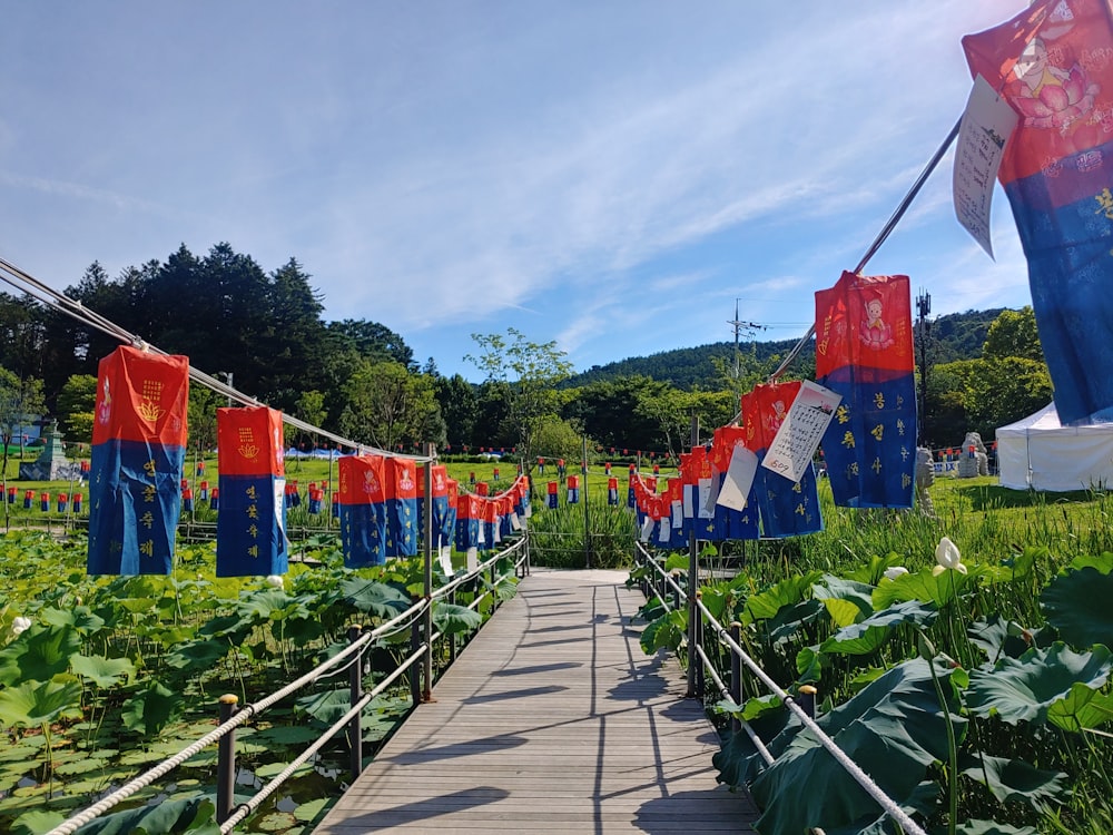 a path with colorful flags on it
