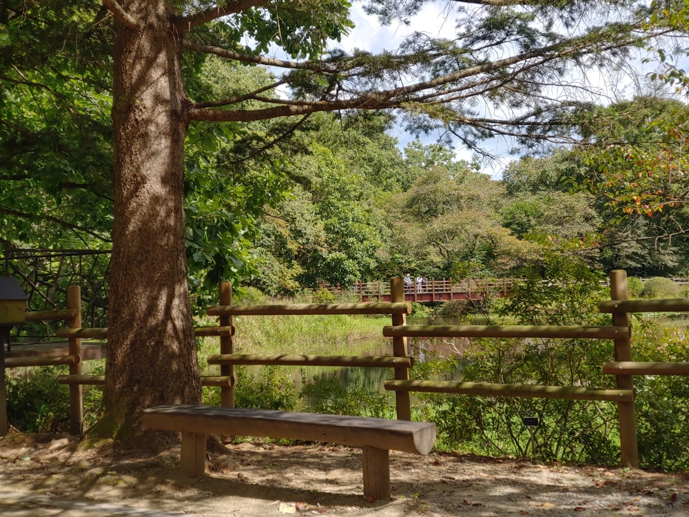 a bench sits in front of a wooden fence