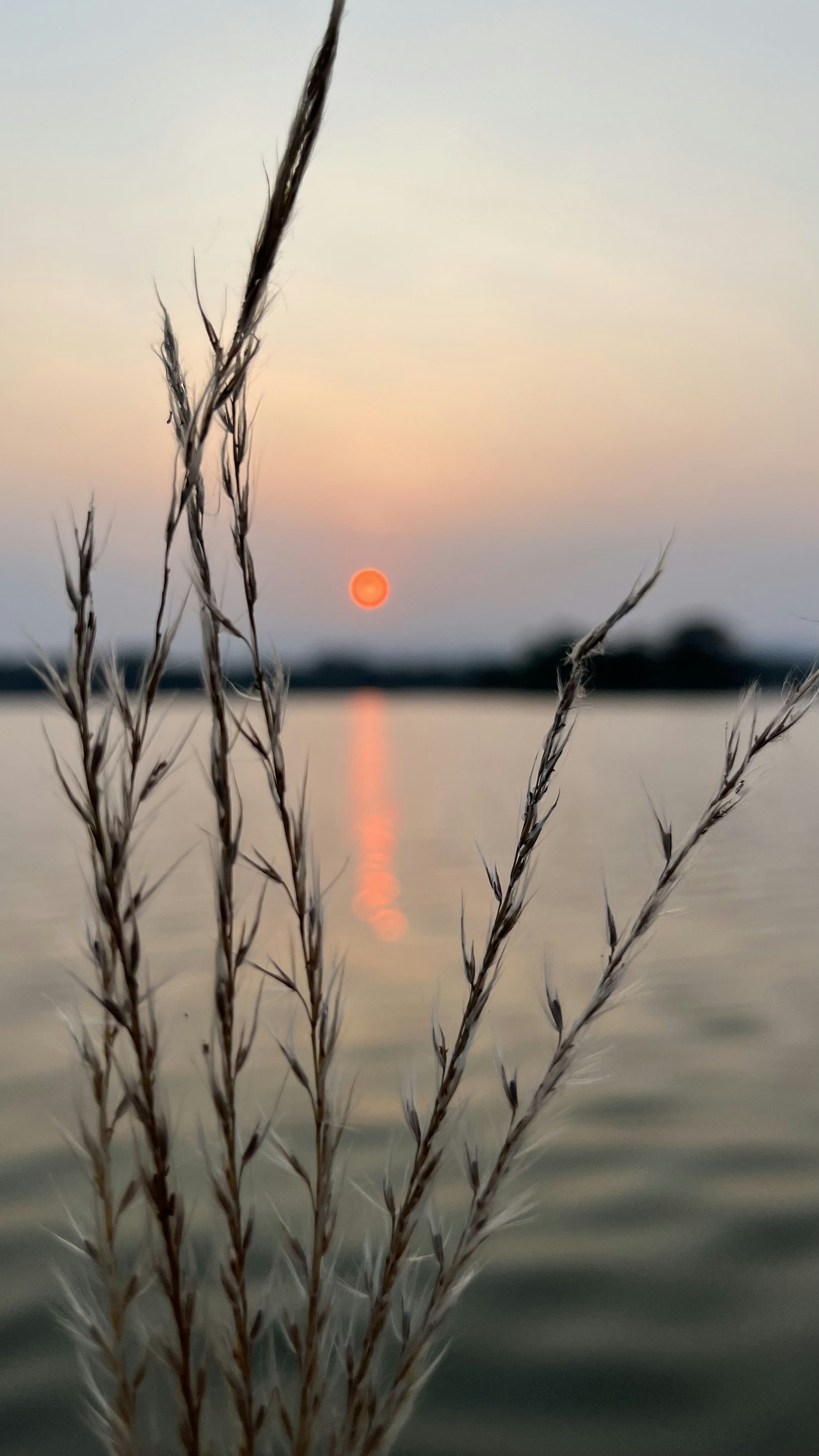 Photo by danny_chen_