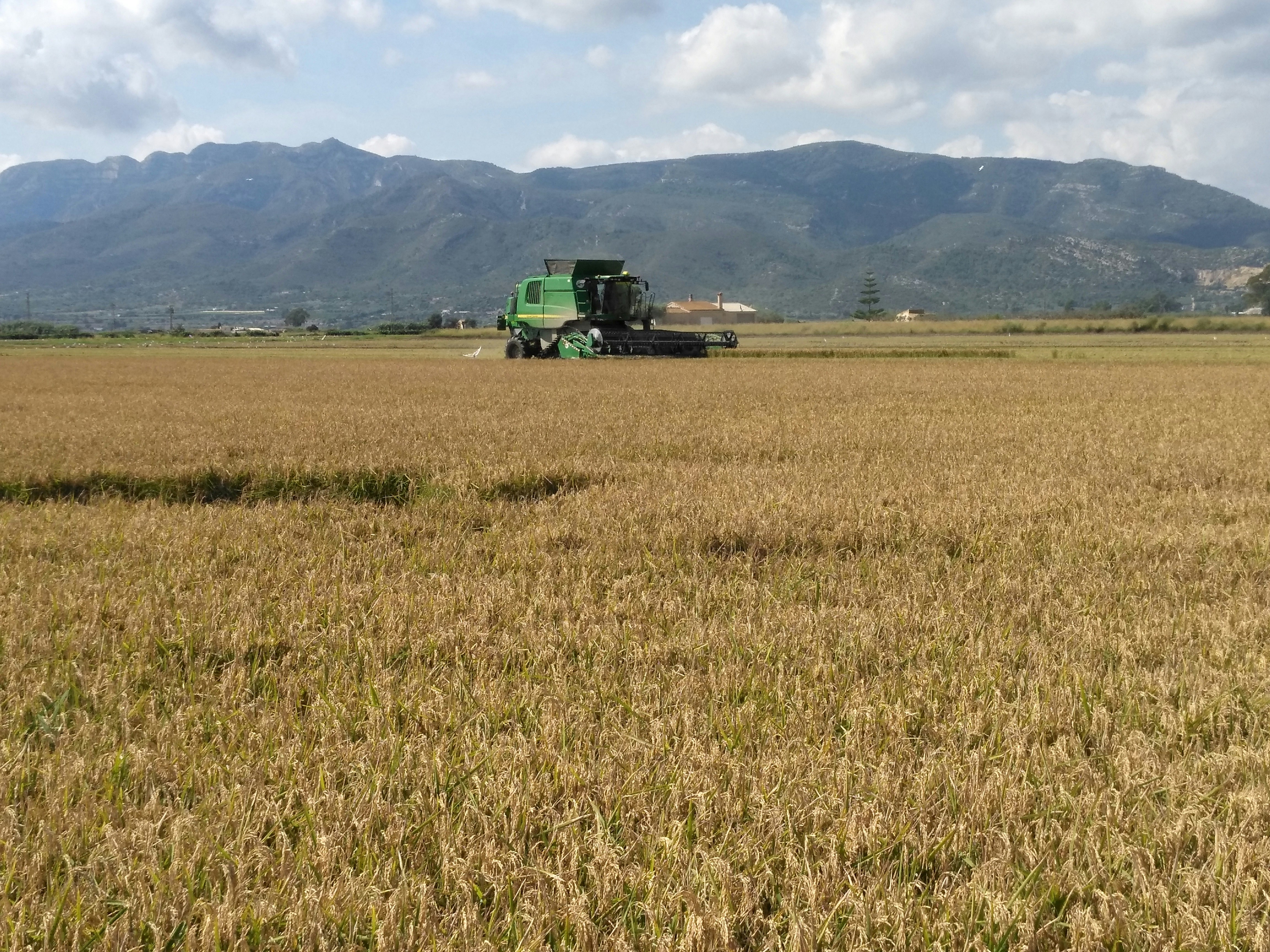 a tractor in a field