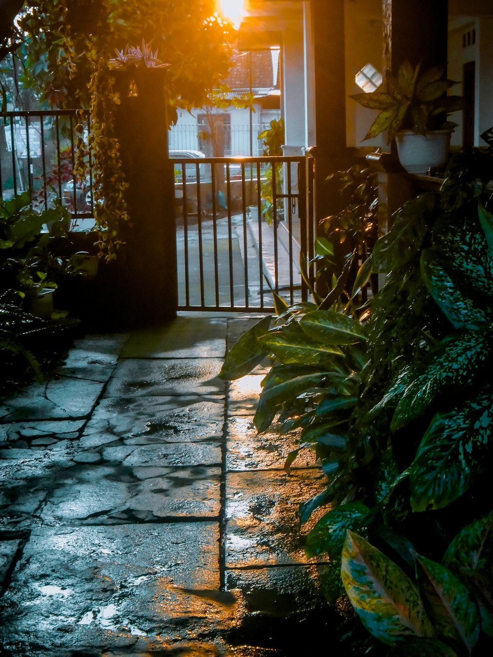 a stone walkway with plants and a gate