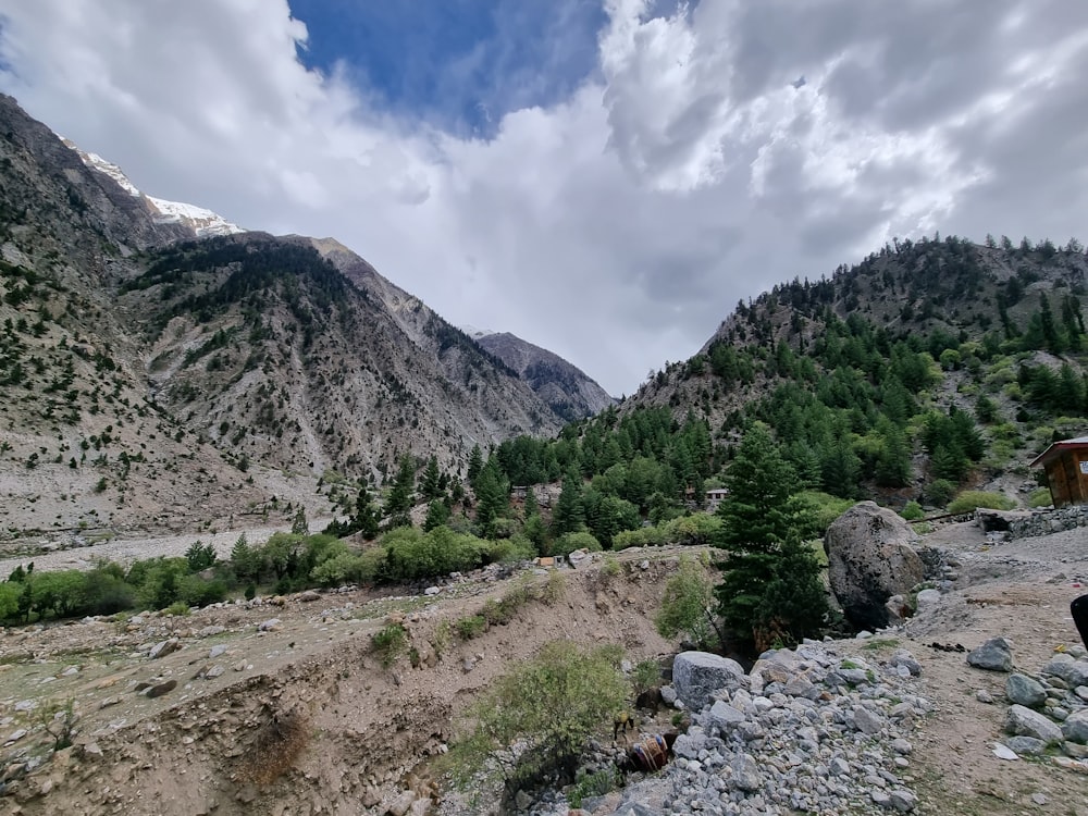 a rocky area with trees and mountains in the background