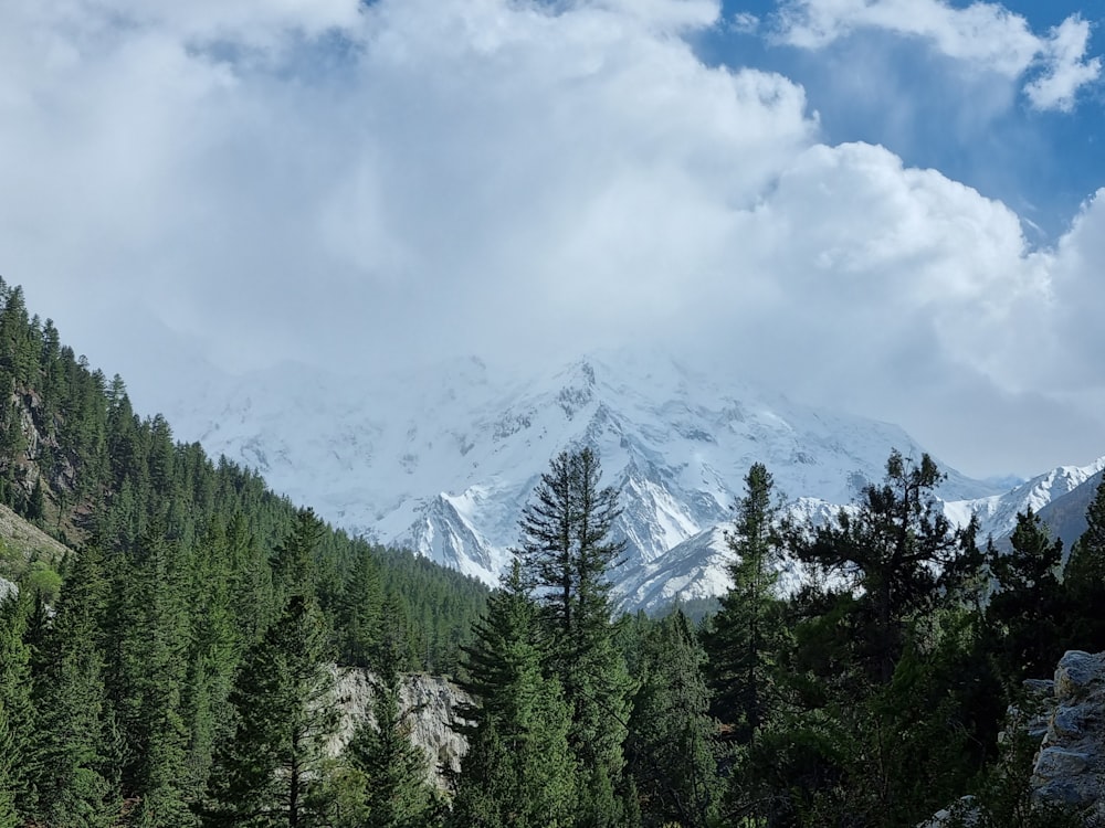 a mountain range with trees