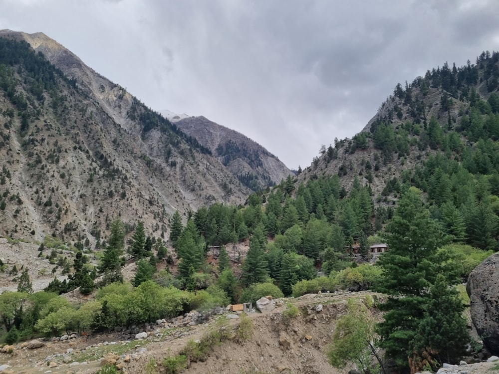 a valley between mountains with trees