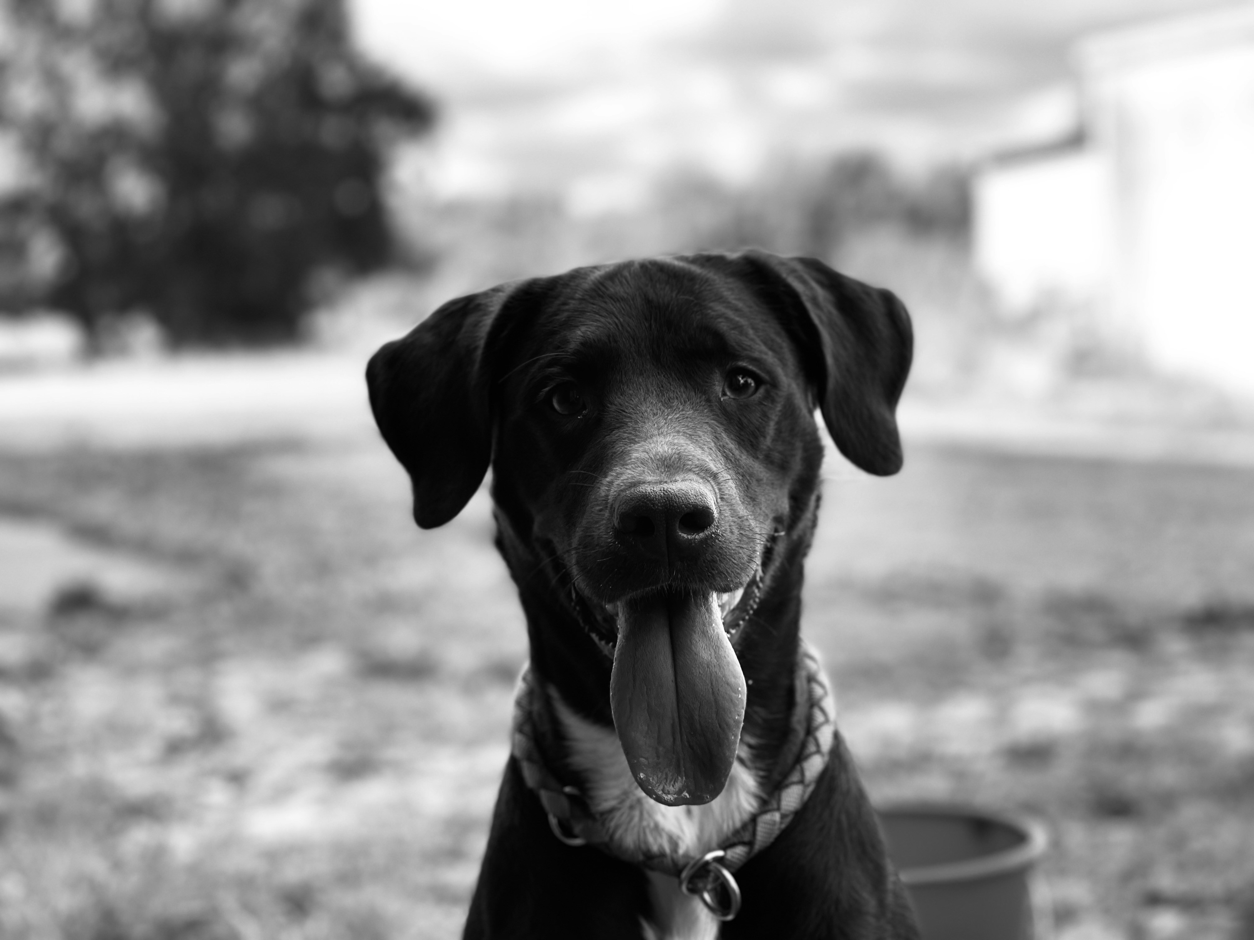 Photo by anniiiiiiiii