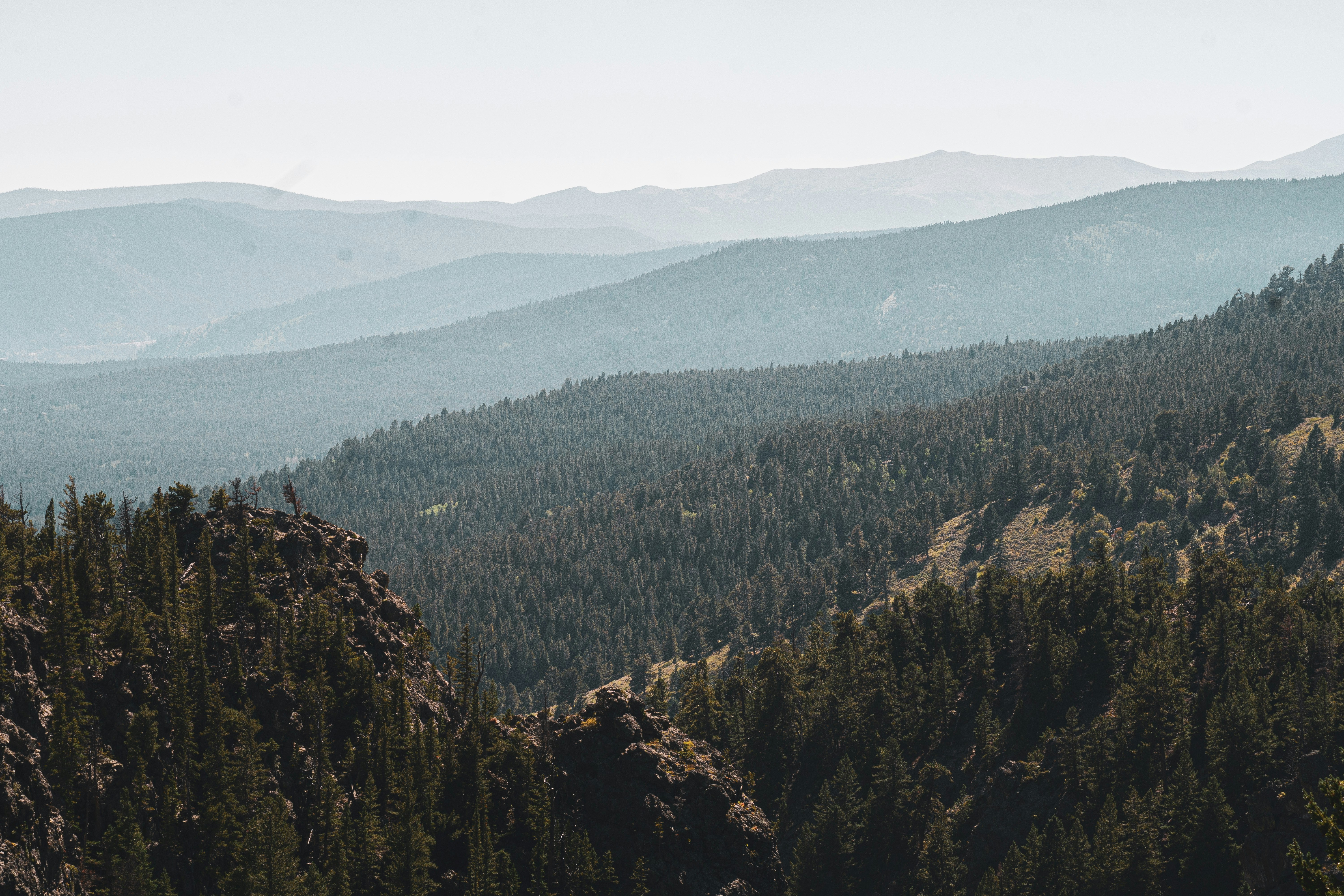 Photo by keepitchassephotography