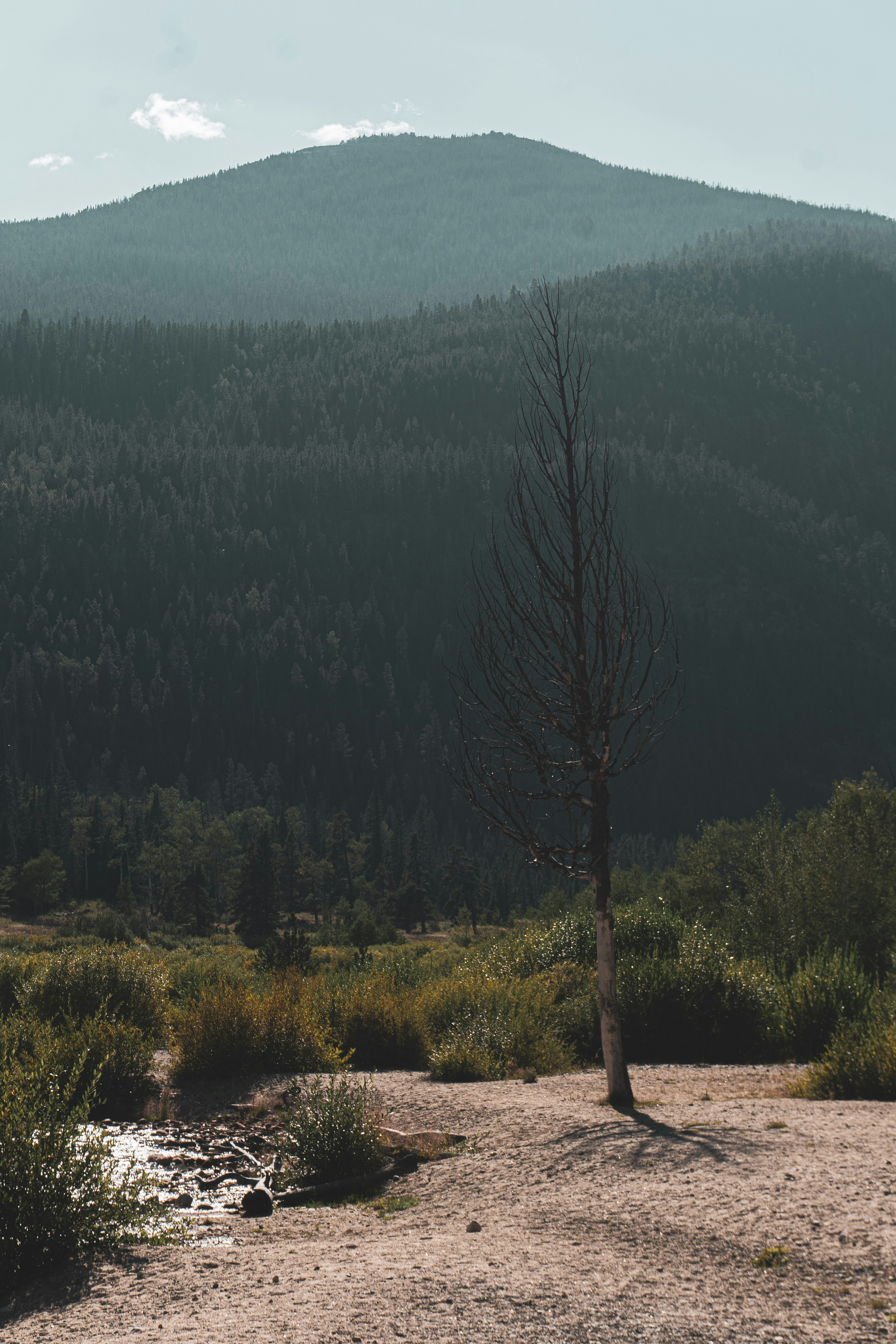 Photo by keepitchassephotography