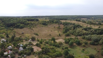 A panoramic view of a rural village landscape with houses and farmland.