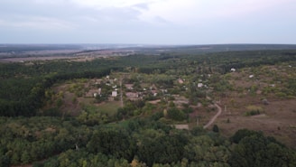 Aerial view of a rural landscape featuring a small village surrounded by dense forests and fields. The village consists of scattered houses and a network of dirt roads. The horizon is visible, with fields extending into the distance.