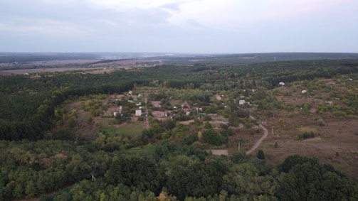 Aerial view of a rural landscape featuring a small village surrounded by dense forests and fields. The village consists of scattered houses and a network of dirt roads. The horizon is visible, with fields extending into the distance.