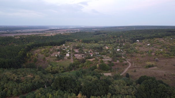Aerial view of a rural landscape featuring a small village surrounded by dense forests and fields. The village consists of scattered houses and a network of dirt roads. The horizon is visible, with fields extending into the distance.