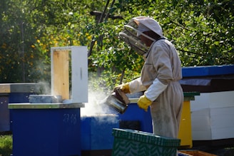 a beekeeper caring for his being hives