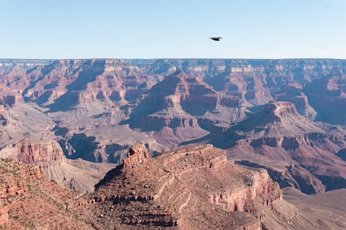 The breathtaking landscape captures a vast and rugged canyon with intricate layers and formations. The vibrant red and orange hues of the rocks contrast with the clear blue sky, creating a striking visual. In the foreground, a lone bird soars through the sky above the expansive terrain.
