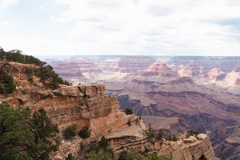 a canyon with trees and rocks